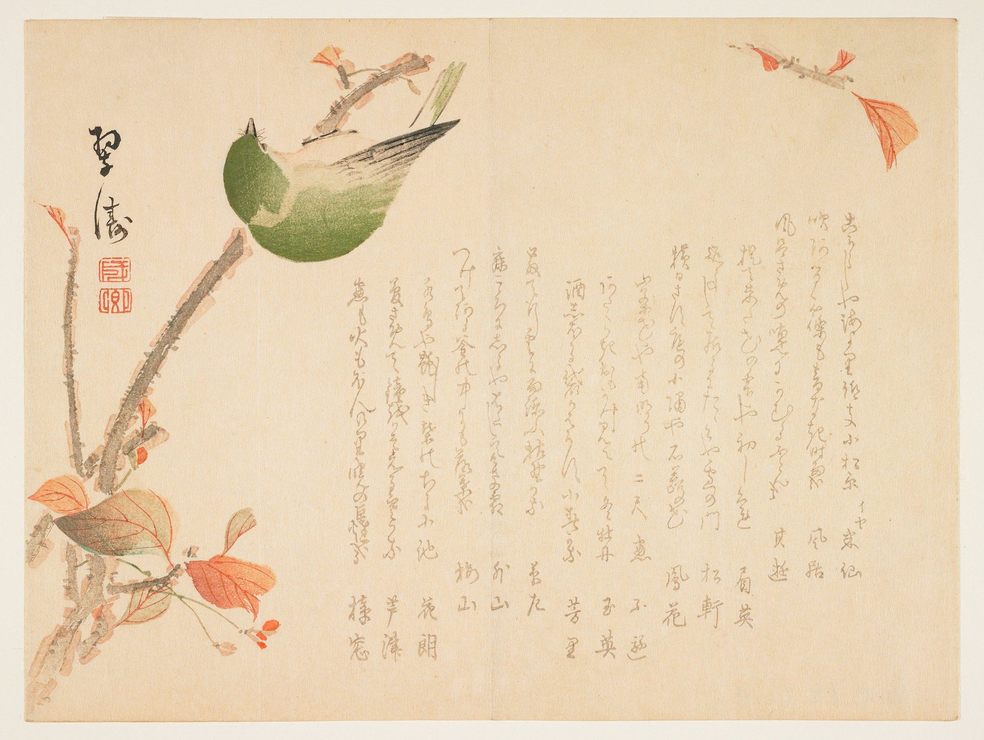 White-eye on a Branch by Suitō