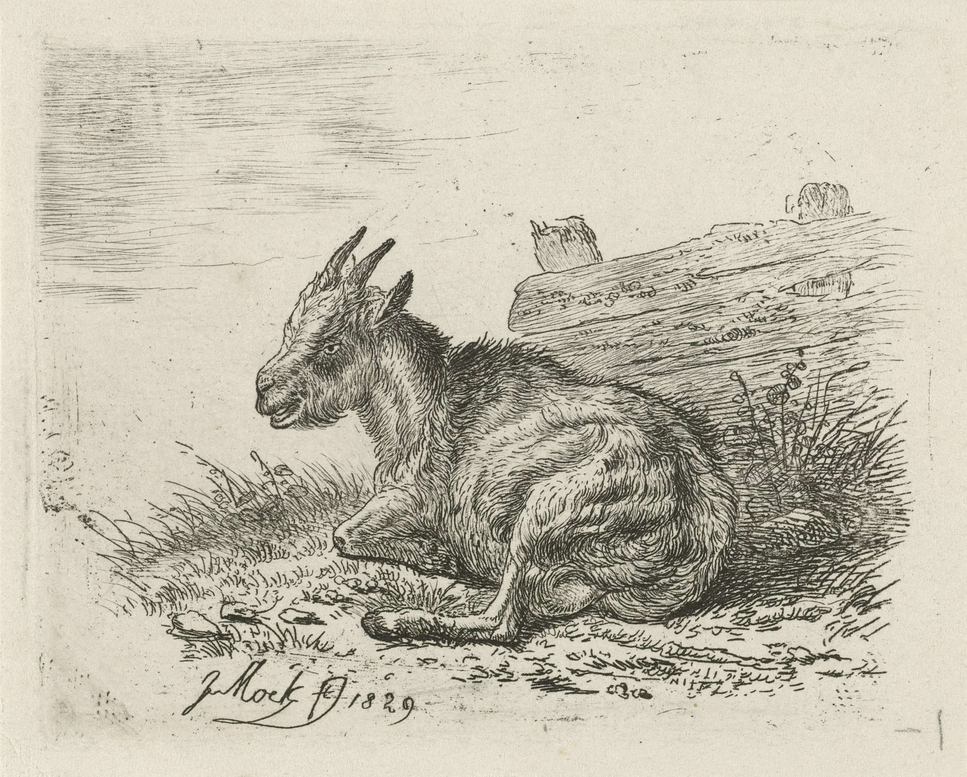 Liggend bokje bij een hek by Johannes Mock