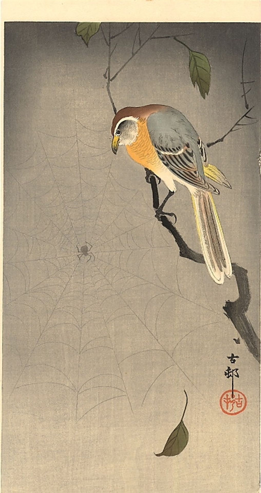 The spiderweb by Ohara Koson