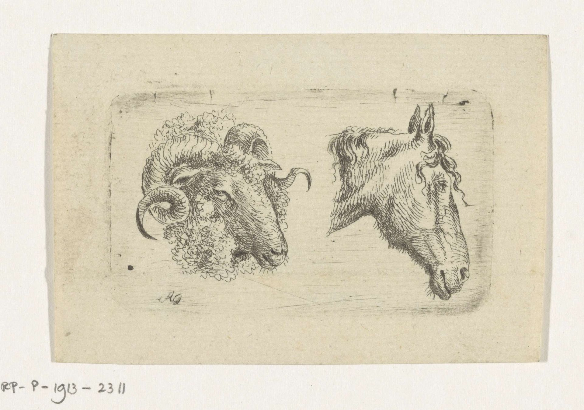 Rams- en paardenkop by Anthony Oberman