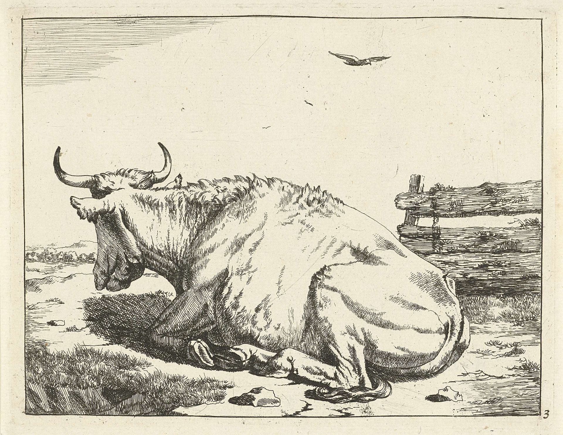 Koe liggend bij hek by Marcus de Bye