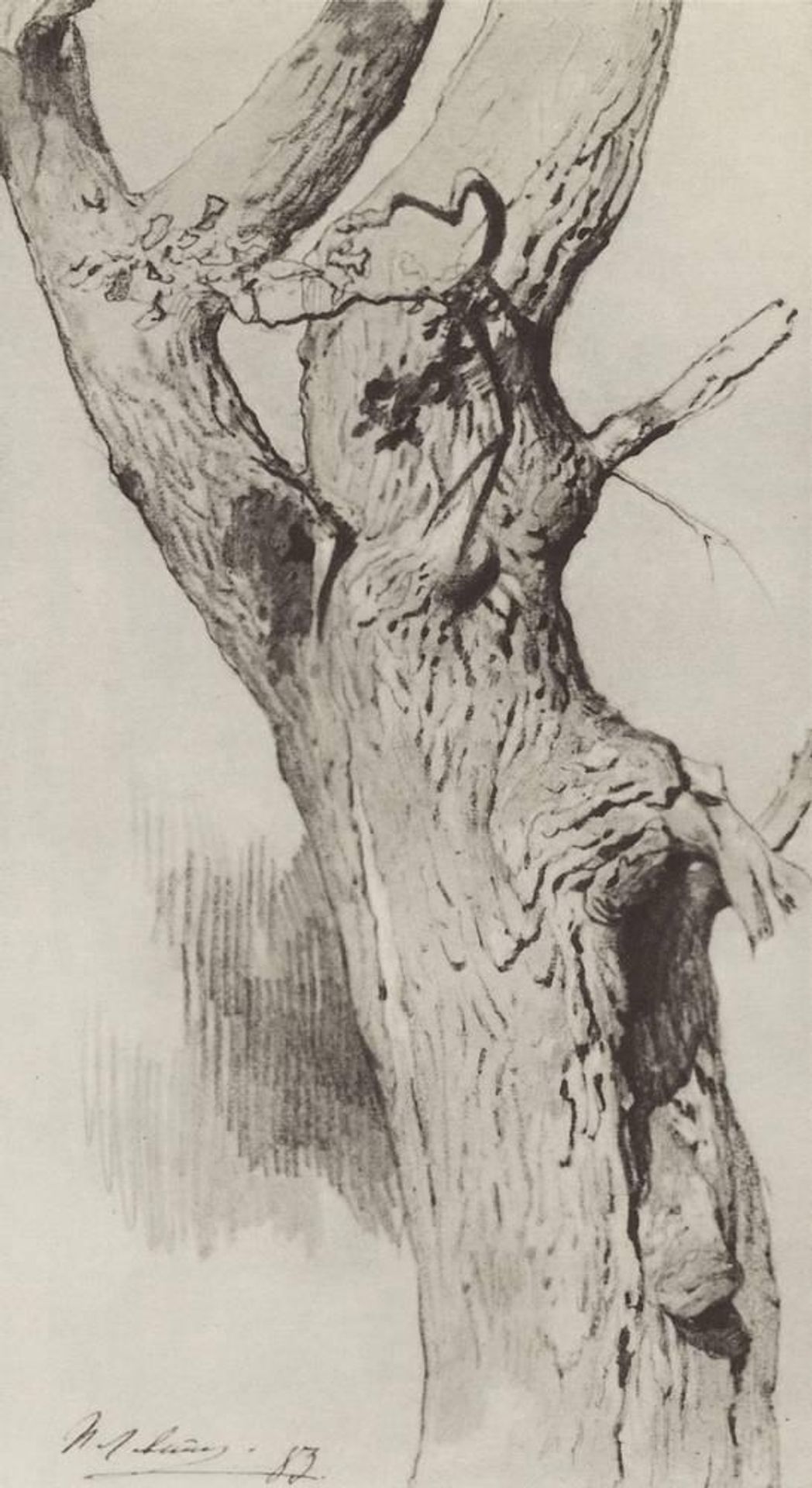 The trunk of an old tree by Isaac Levitan
