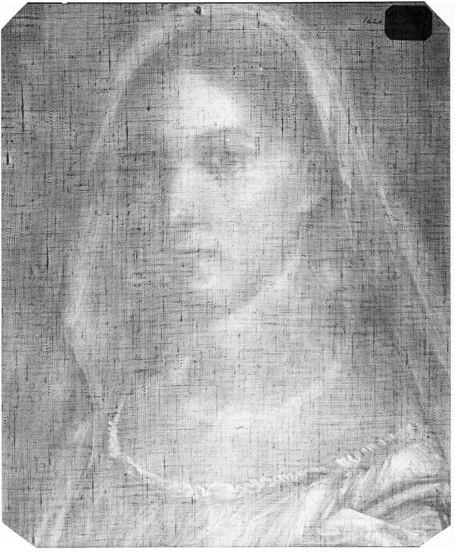 X-radiograph(s) of "Dona Velata" by Anonymous