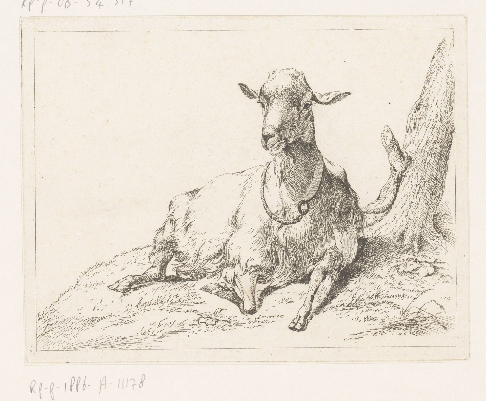 Liggende geit by Hendrik Willem Schweickhardt