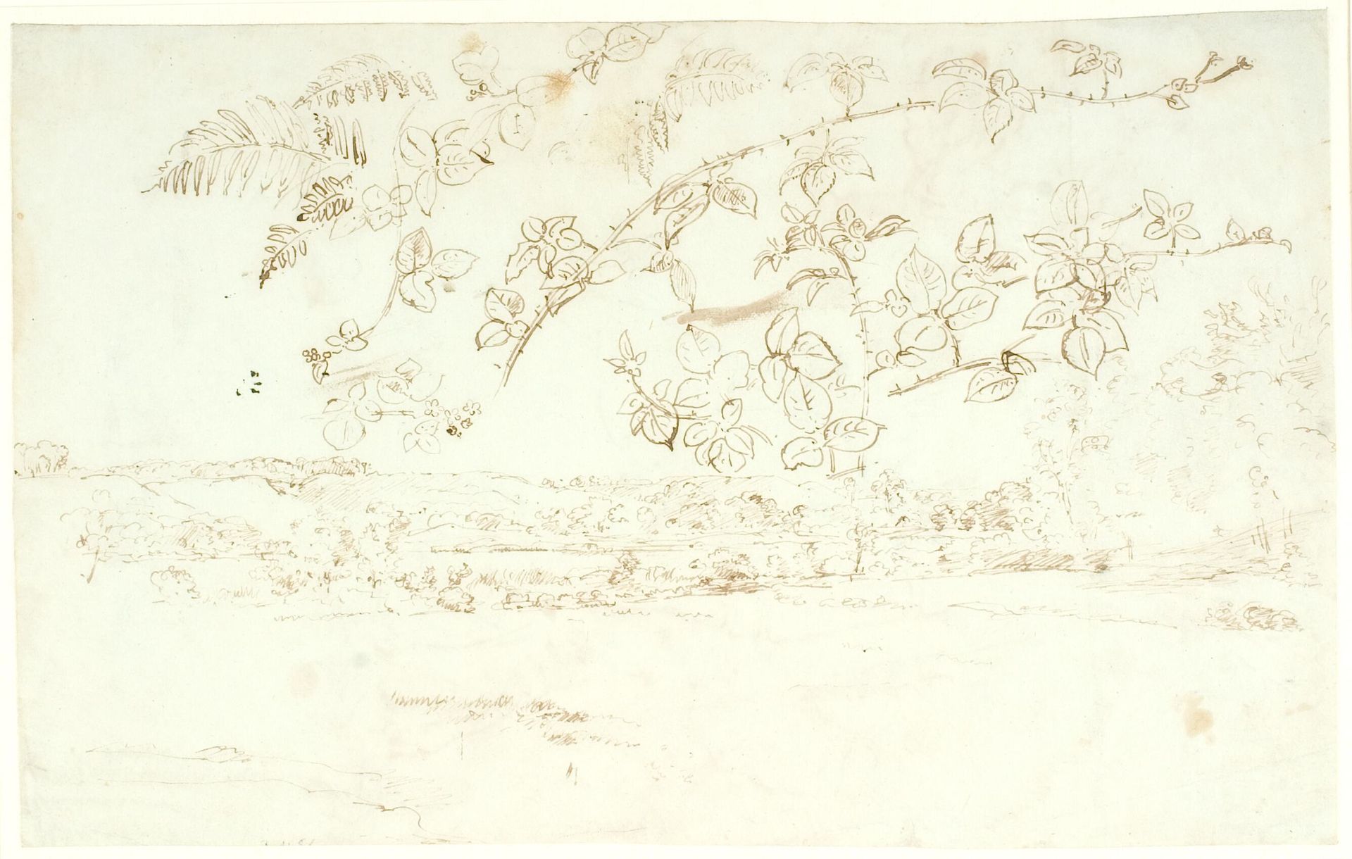Landskabsskitse, udsigt mod bakker. Foroven studier af rosengrene by Dankvart Dreyer