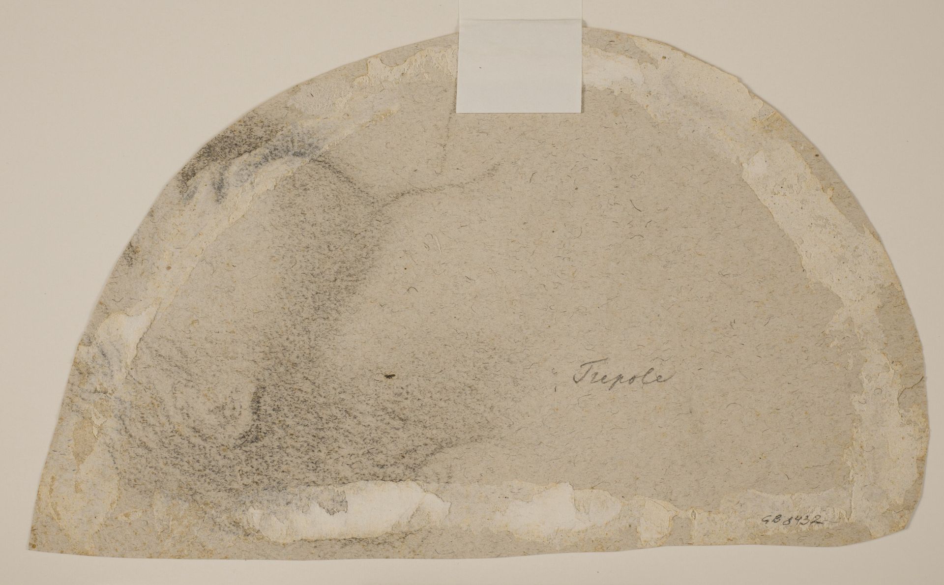 Female head seen from below (cropped) by Jacopo Palma (il Giovane)