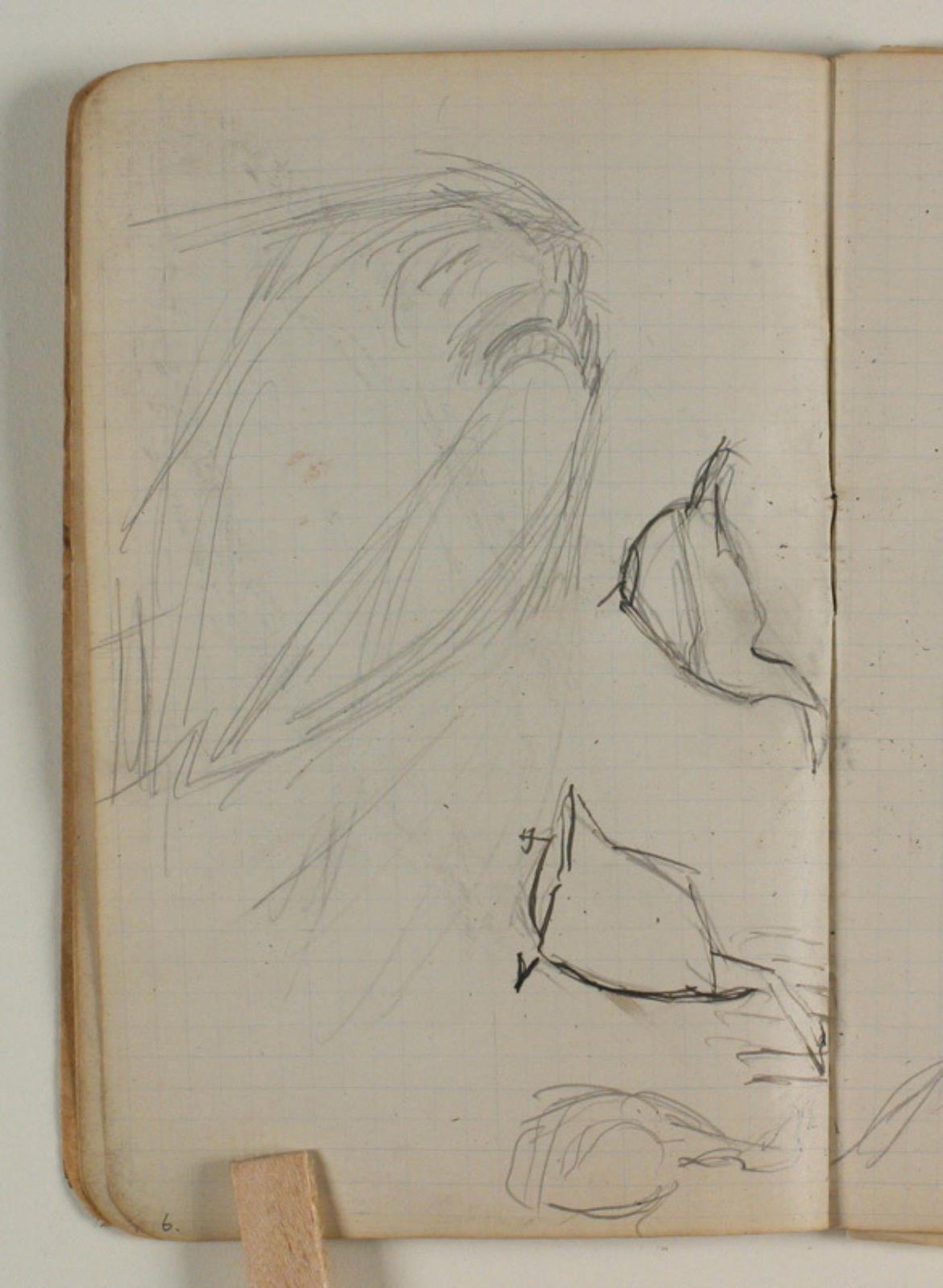 Studier af andefugl samt identificerede rids by Niels Larsen Stevns