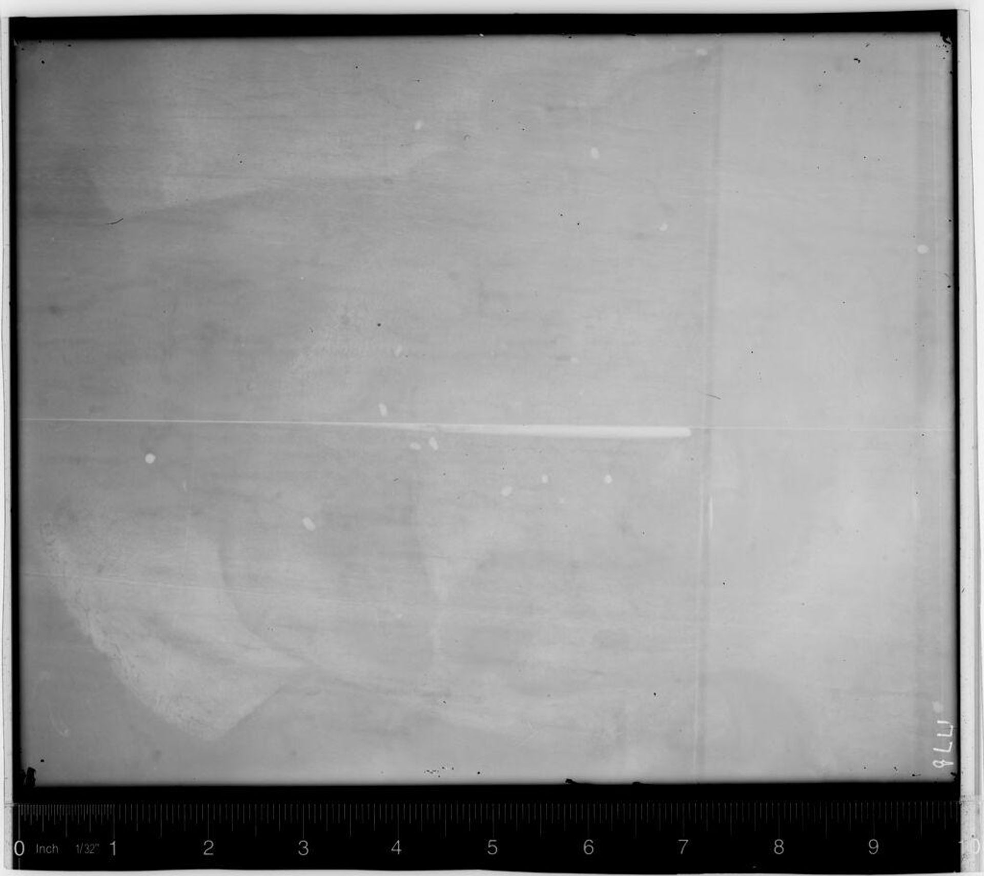 X-radiograph(s) of "Giuliano di Medici" by Artist of original: (?) Francesco Salviati