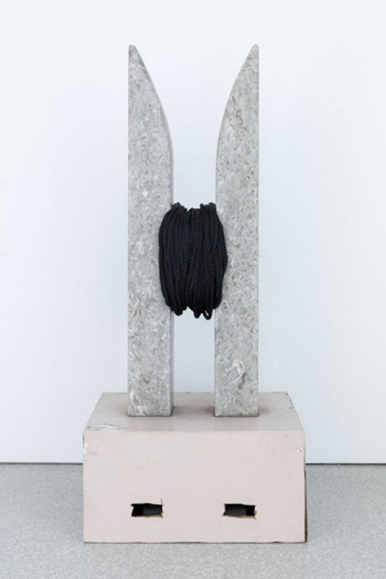 Harrar Middle Passage by Barbara Chase-Riboud