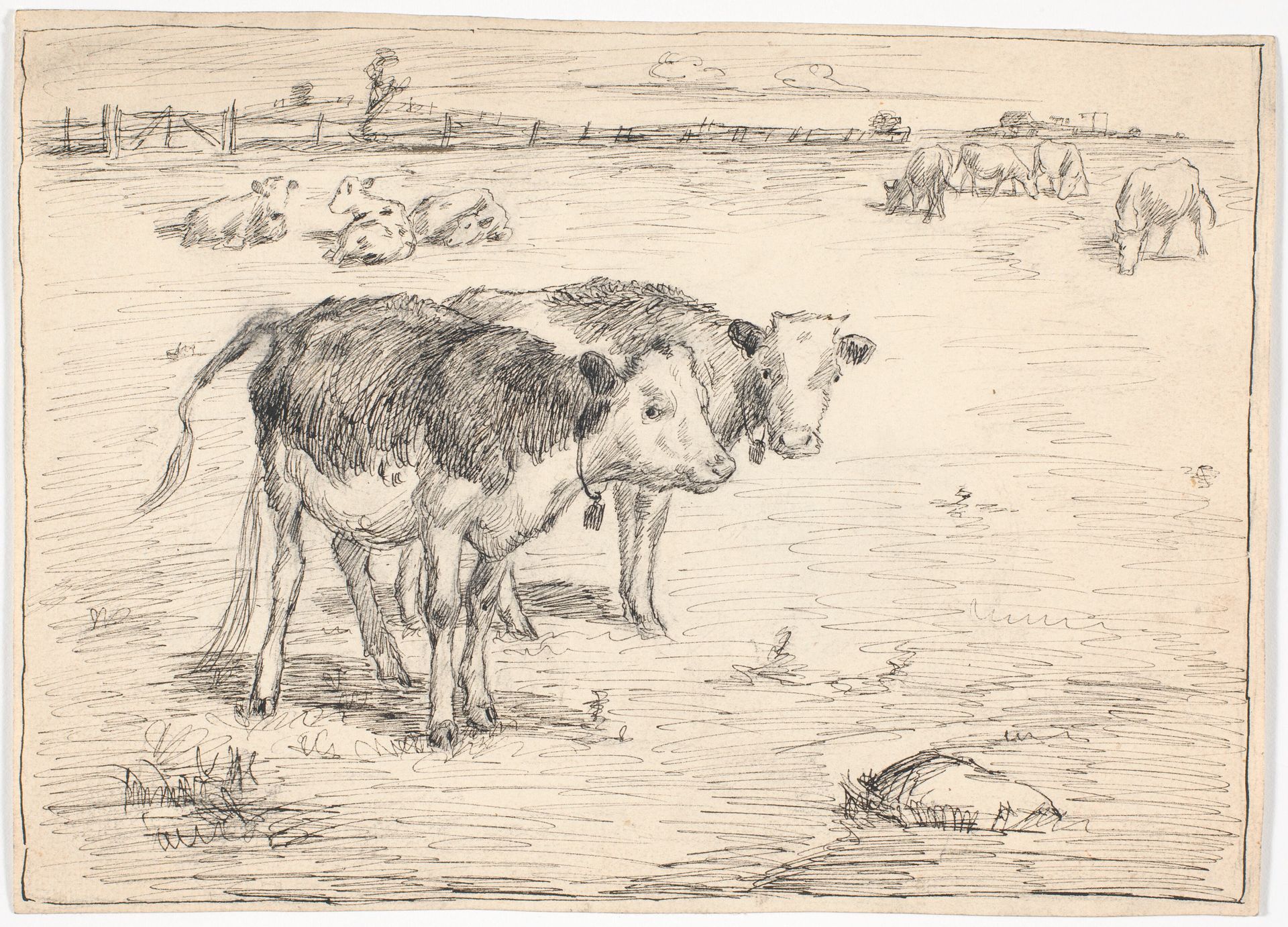 Et par kalve på "Fladen", Saltholm by Theodor Philipsen