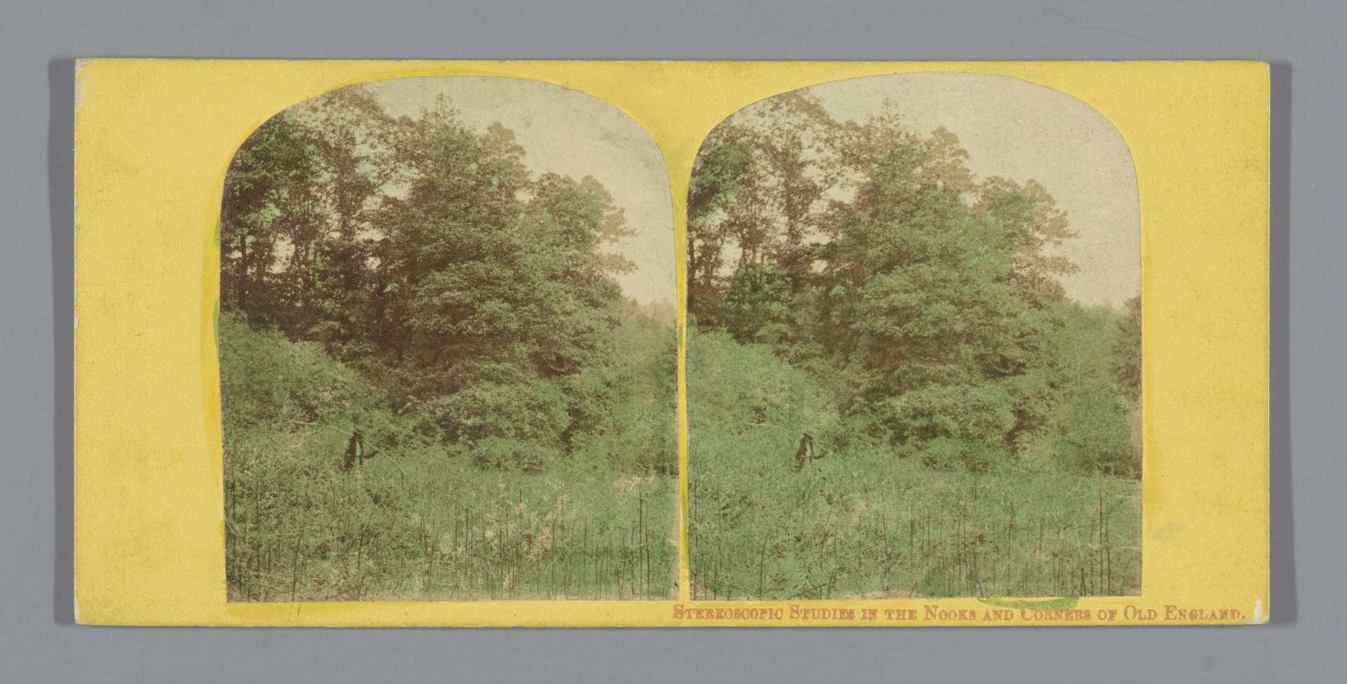 Boslandschap met een man in Engeland by London Stereoscopic Company