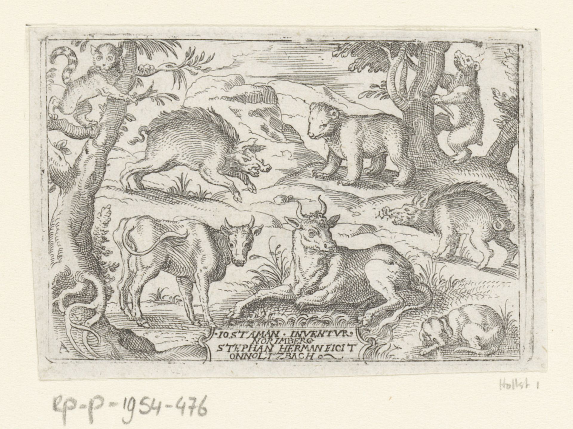 Twee koeien, twee varkens, twee beren, een hond en een kat by Stephan Herman