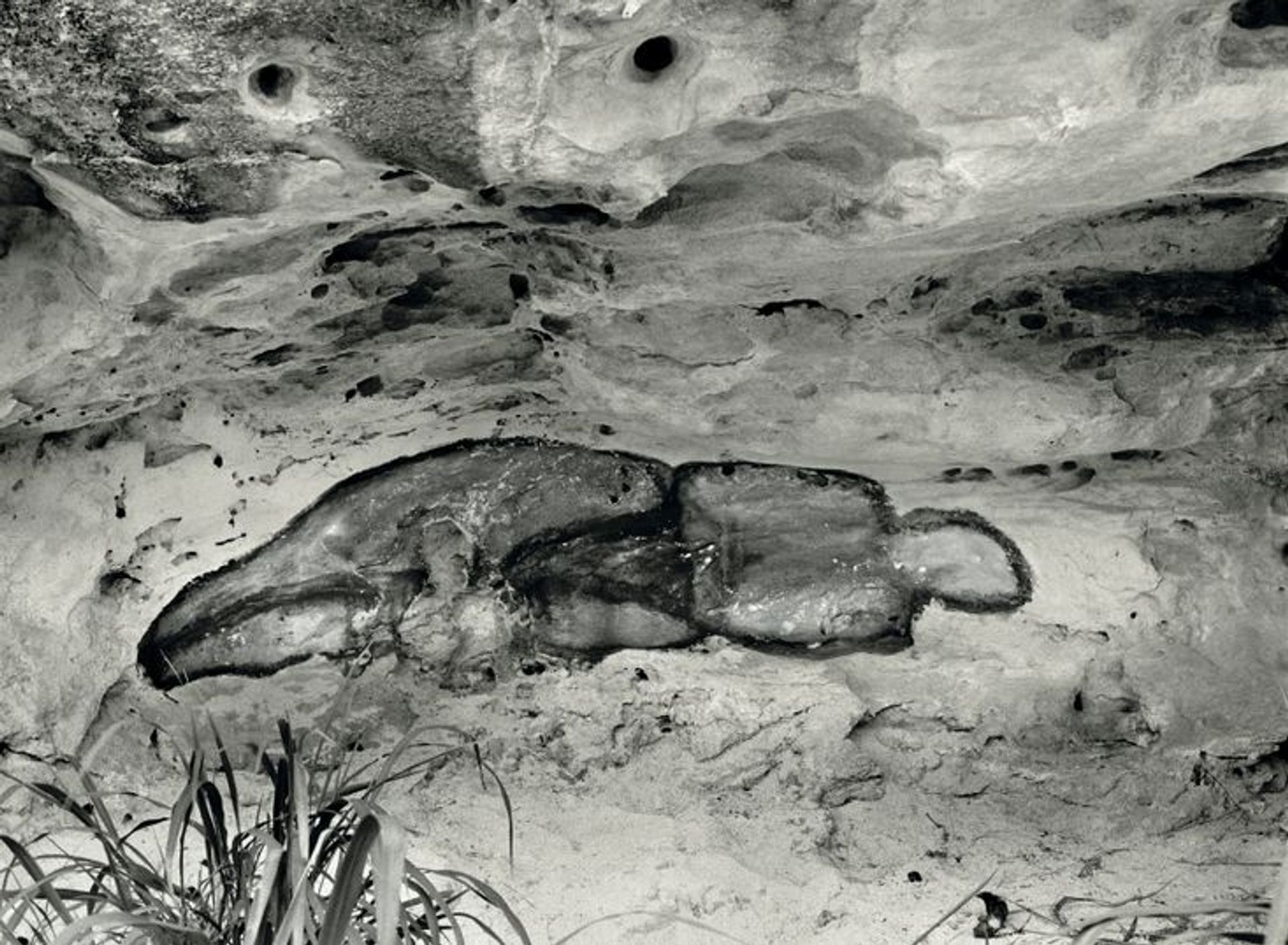 La Venus Negra by Ana Mendieta