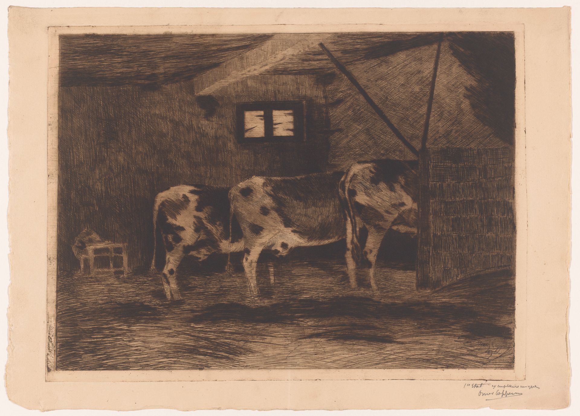 Drie koeien in een stal, van achteren gezien by Omer Coppens