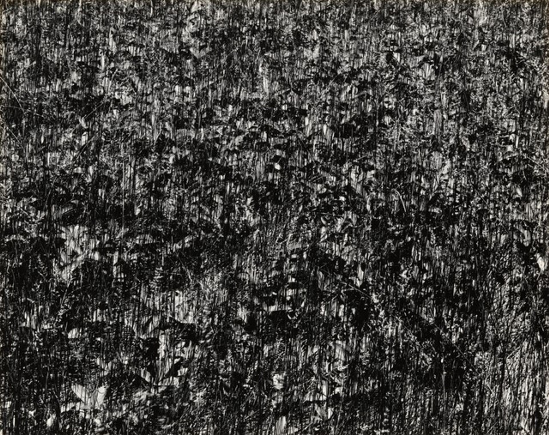 Port Huron, Michigan by Harry Callahan