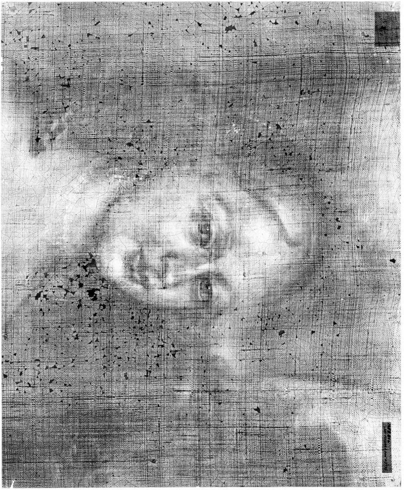 X-radiograph(s) of "Lady Feeding a Dog" by Artist of original: Type of Sir Peter Lely