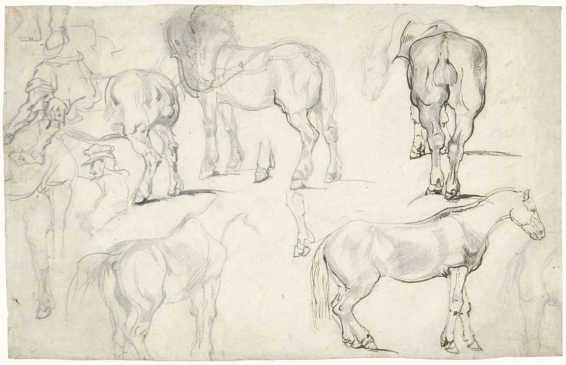 Studieblad met studies van paarden by Théodore Géricault