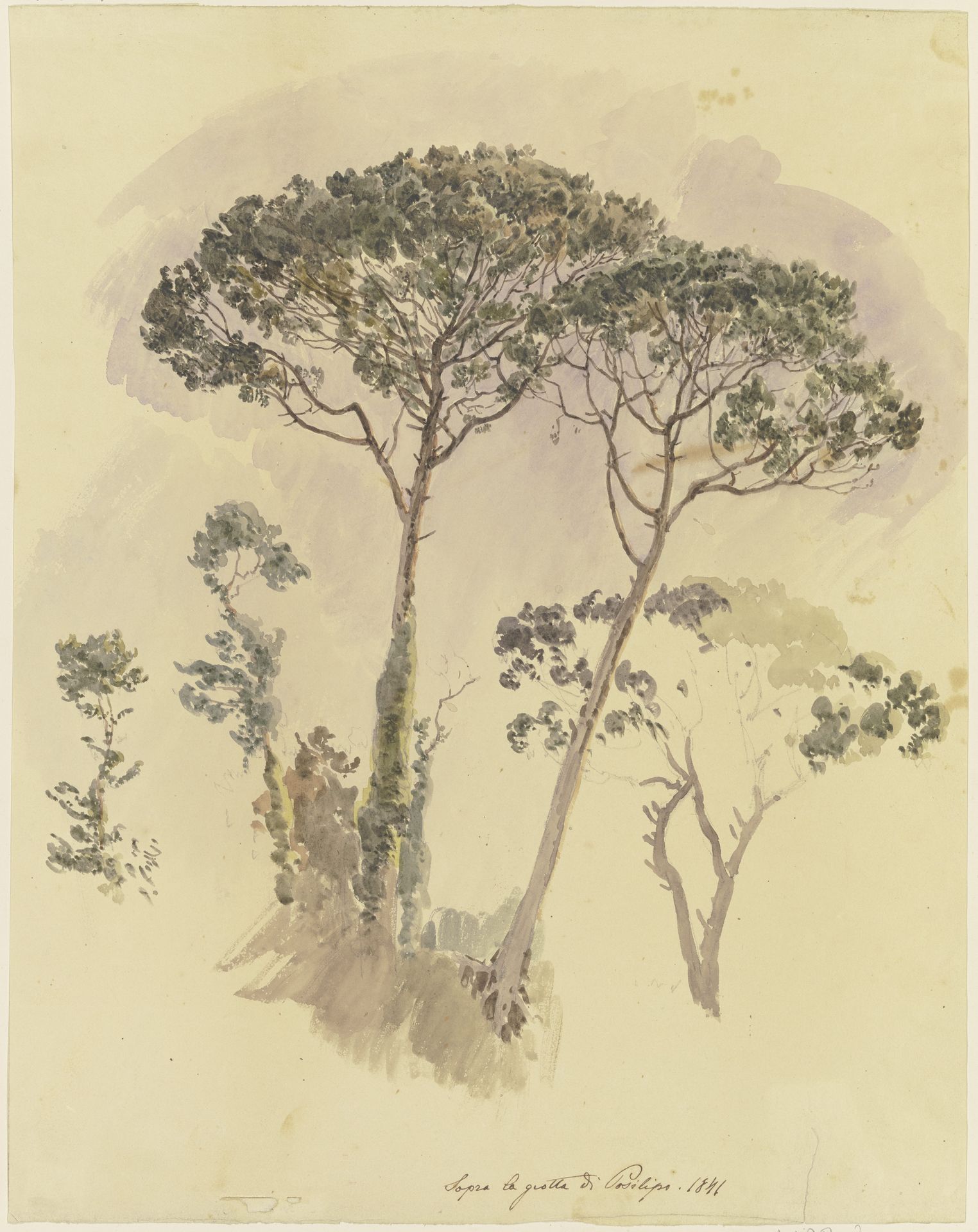 Pinien oberhalb der Grotte von Posilipo by Johann Nepomuk Rauch