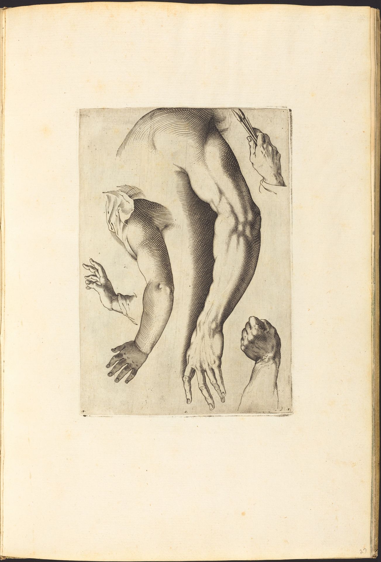 Print from Drawing Book by Luca Ciamberlano