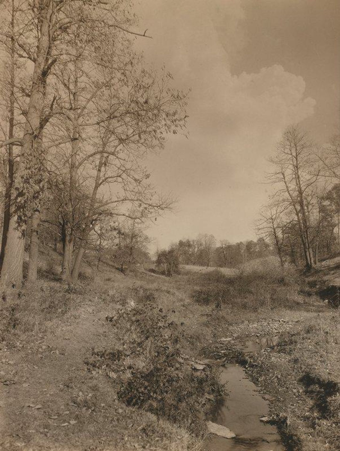 Untitled [trees and stream] by James Bartlett Rich