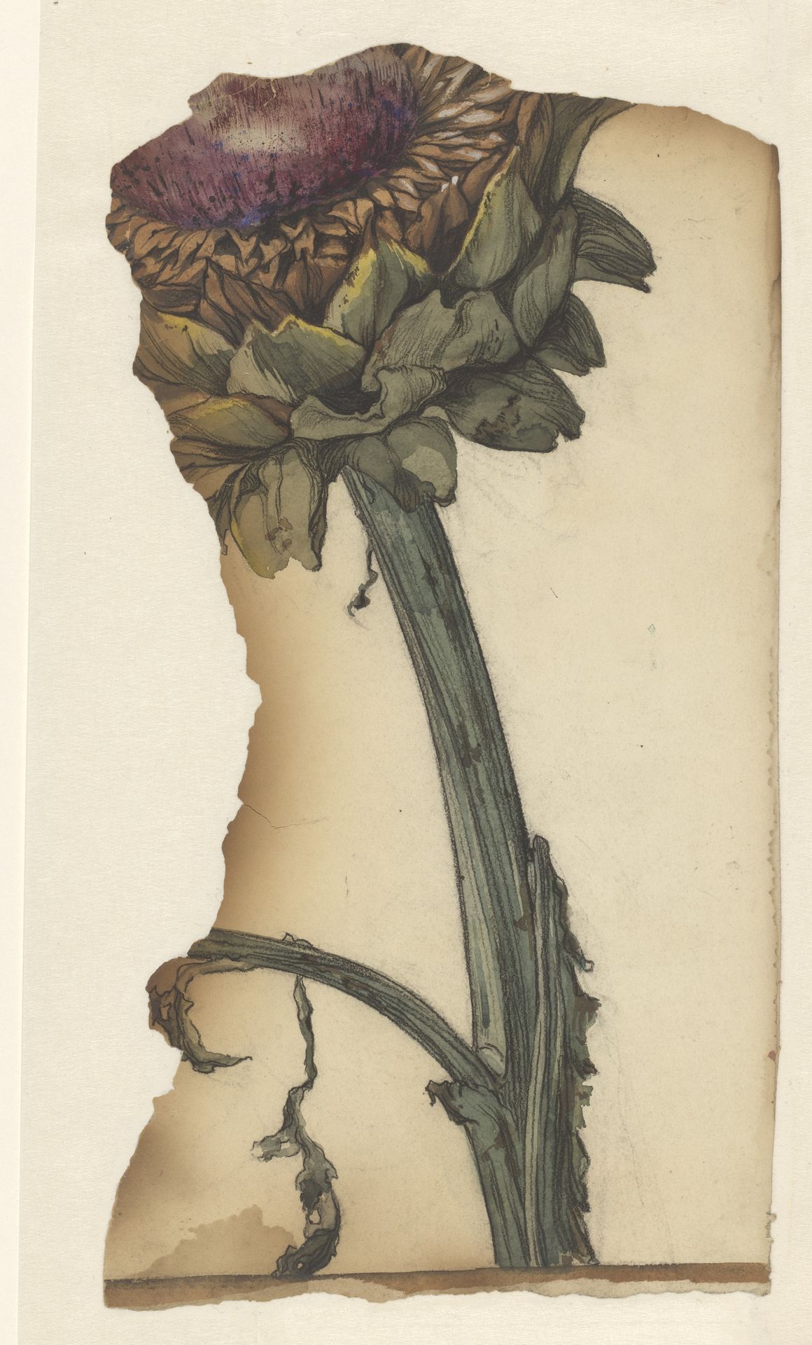 Zonnebloem (fragment) by Julie de Graag