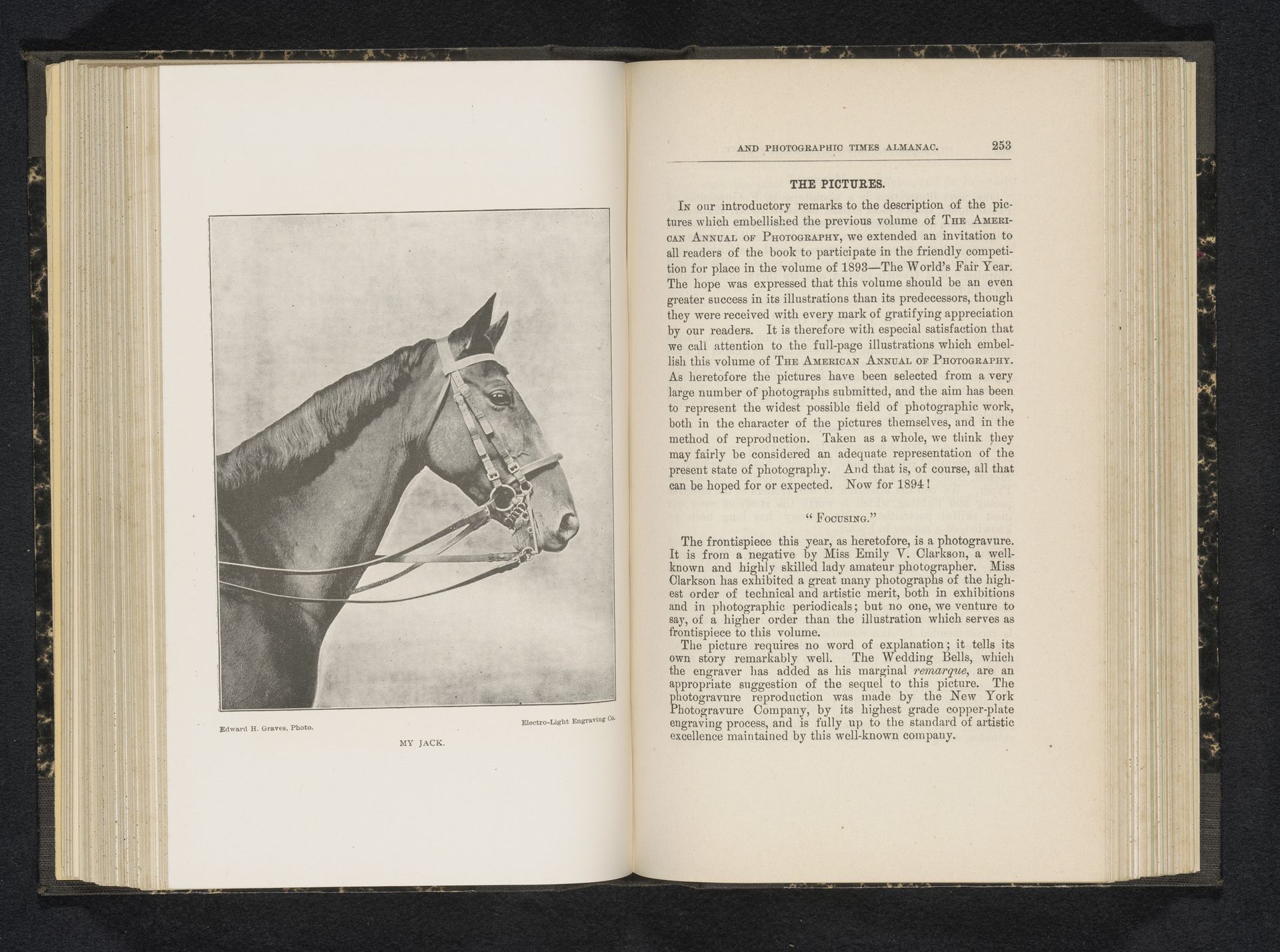 En profile van een paard by Edward H. Graves