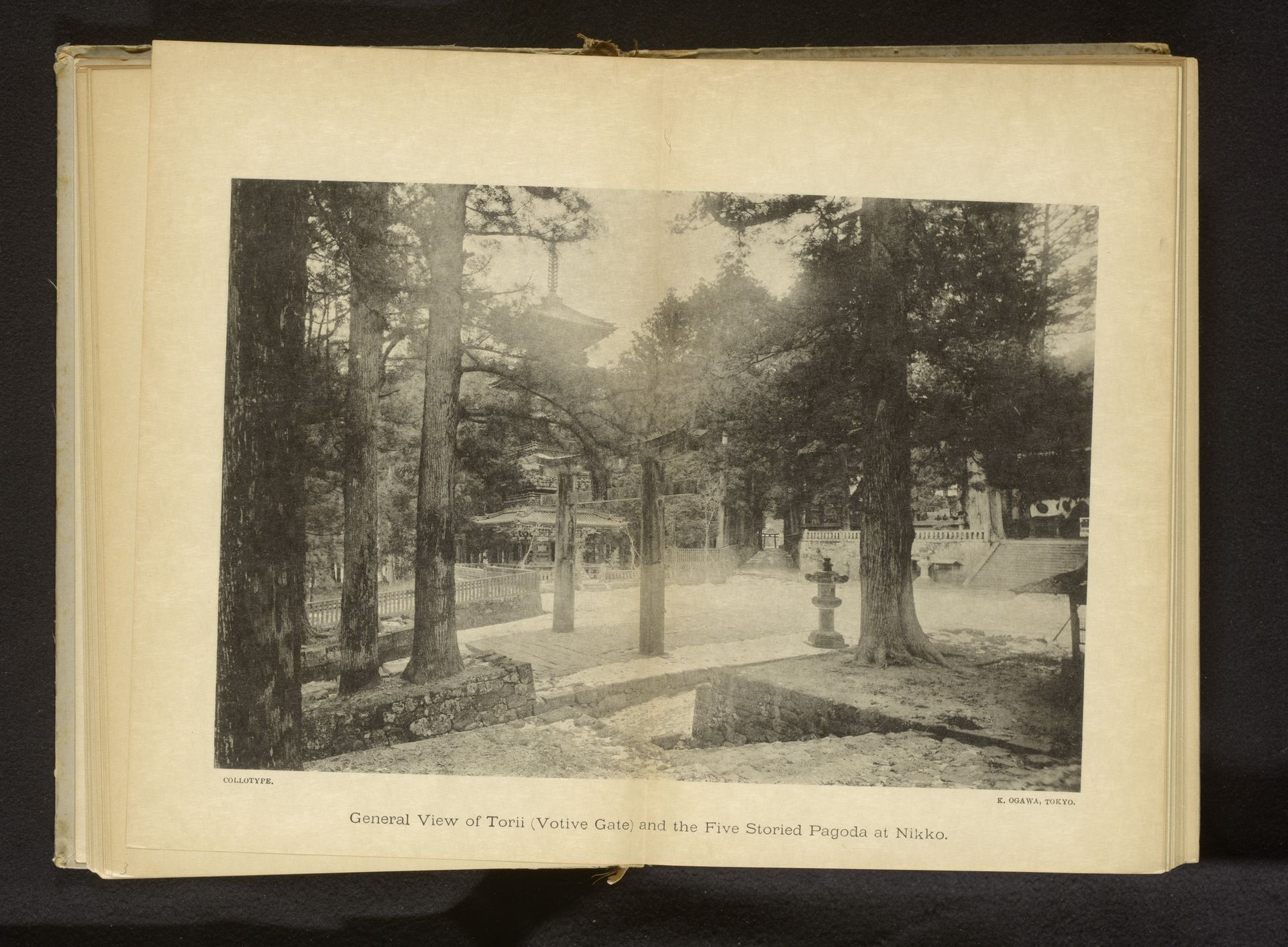 General view of Torii (Votive gate) and the Five Storied Pagoda at Nikko by Kazumasa Ogawa