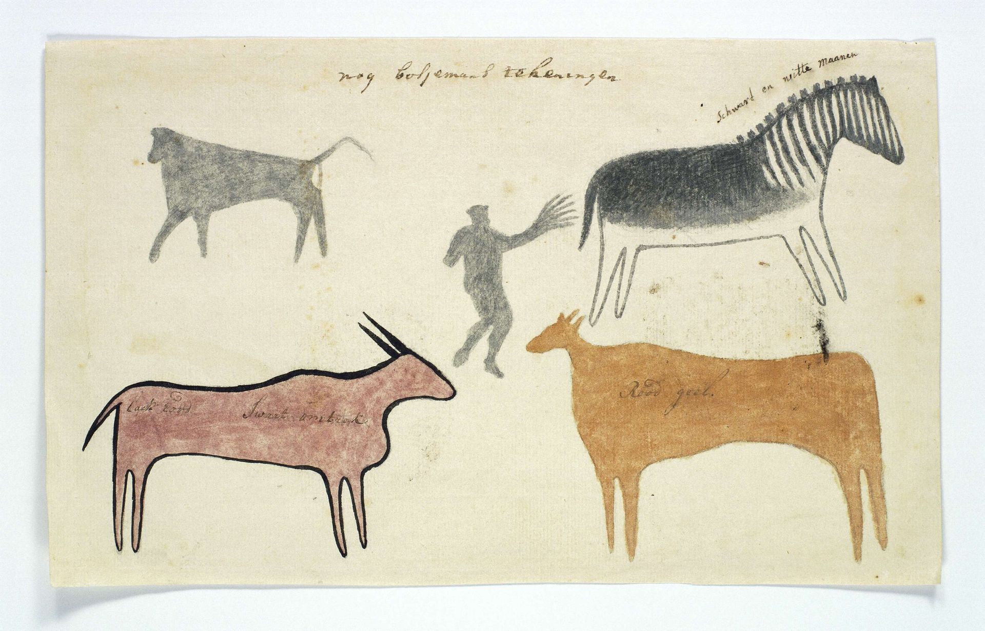 Copies of San rock paintings depicting creatures by Robert Jacob Gordon