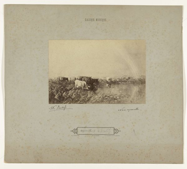 Slide 13