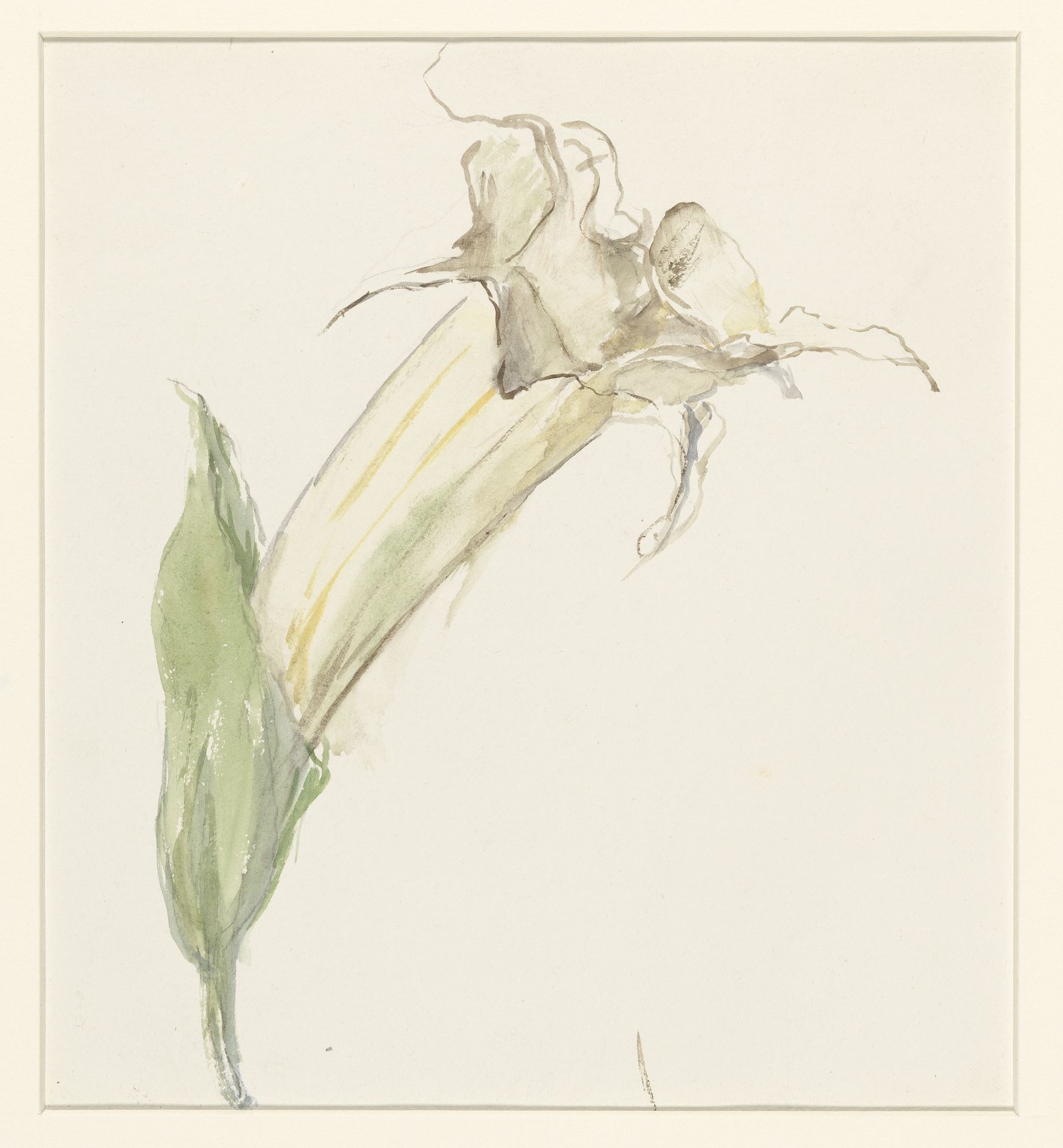 Bloem (van een kalebas?) by Sientje Mesdag-van Houten