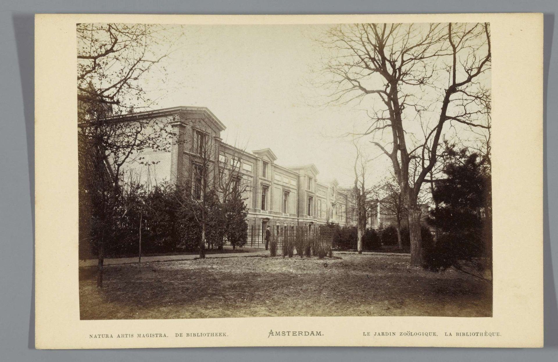 Gezicht op de bibliotheek van Artis in Amsterdam by Andries Jager