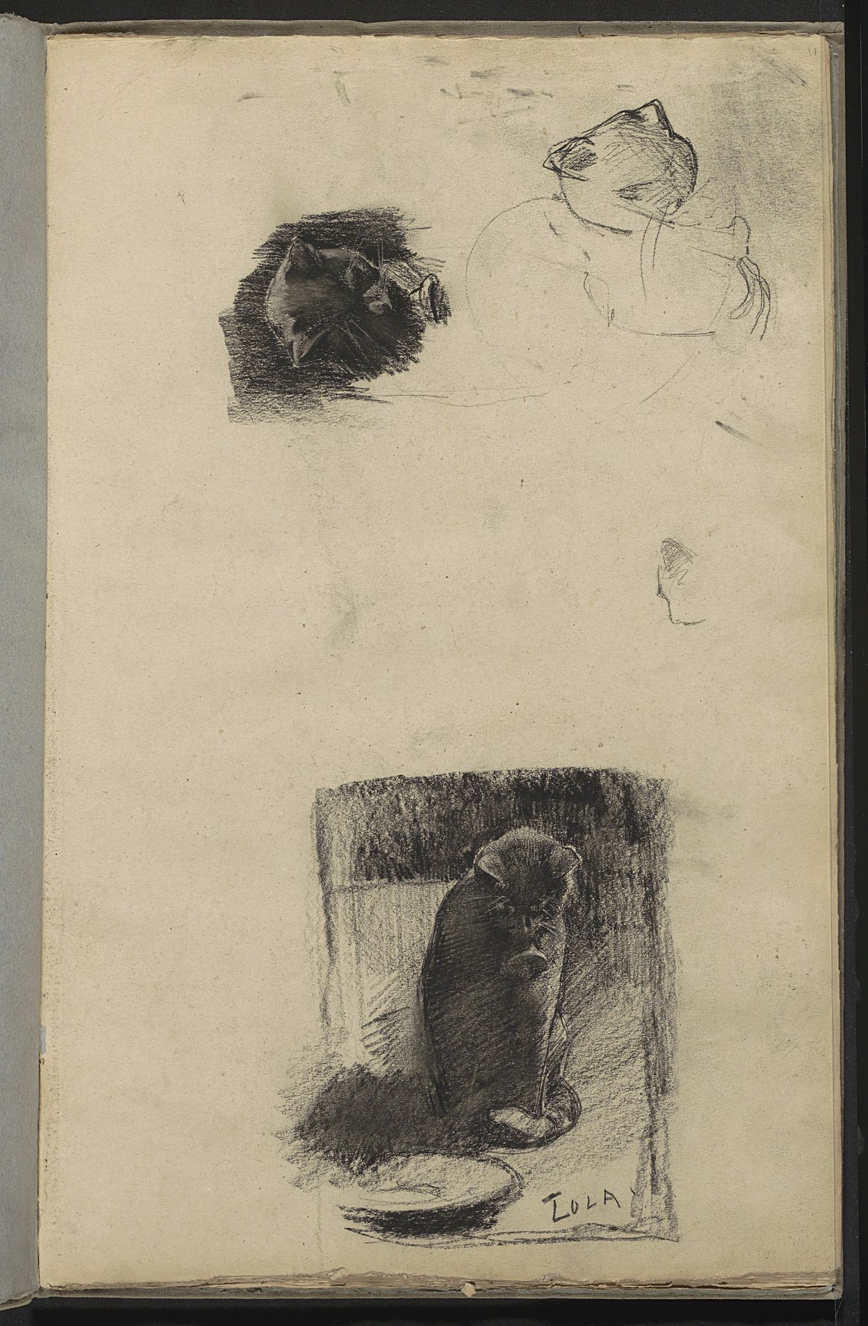 Studies van poes Lola by Willem Witsen