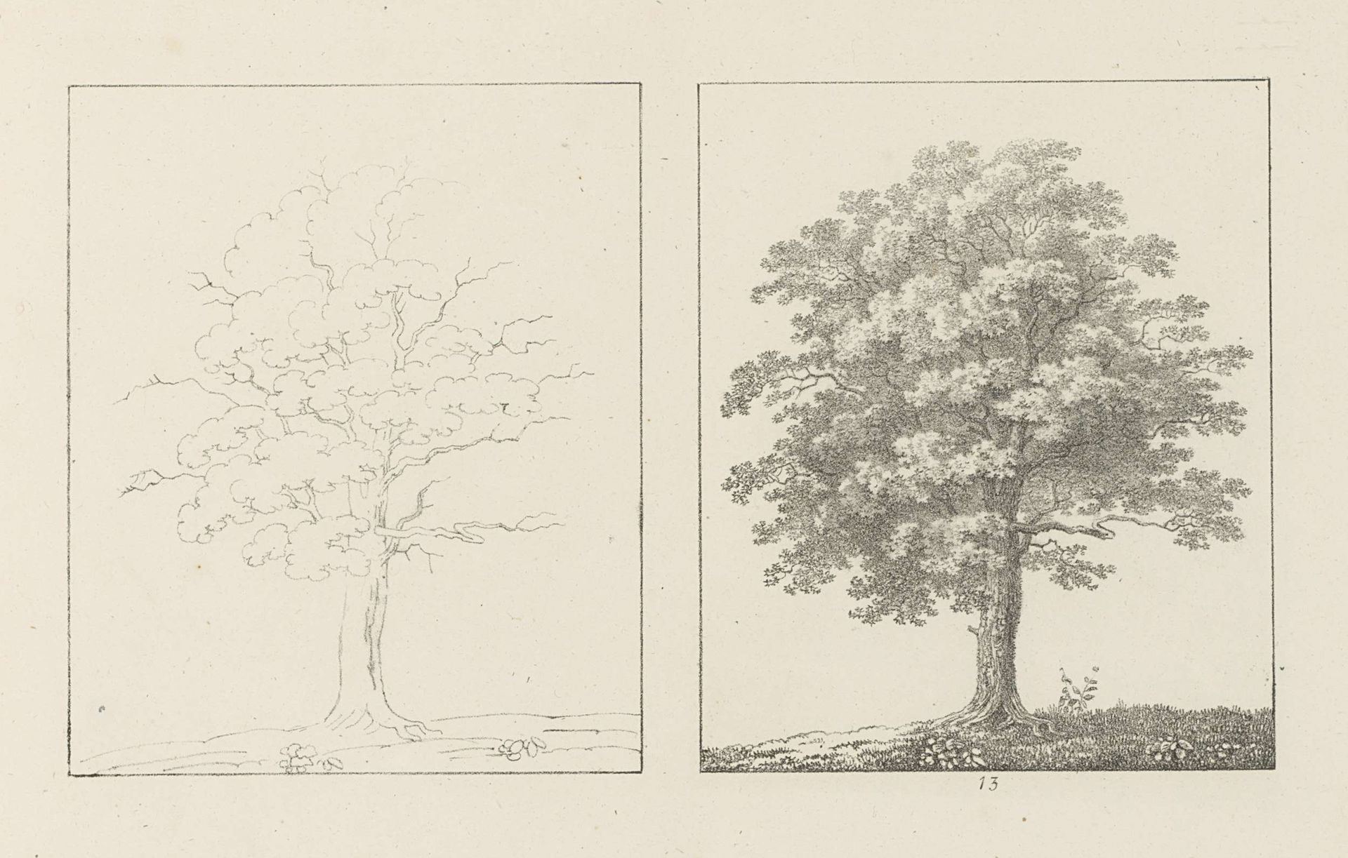 Albumblad met twee voorstellingen van twee eikenbomen: links het ontwerp, rechts de uitvoering by Max Josef Wagenbauer