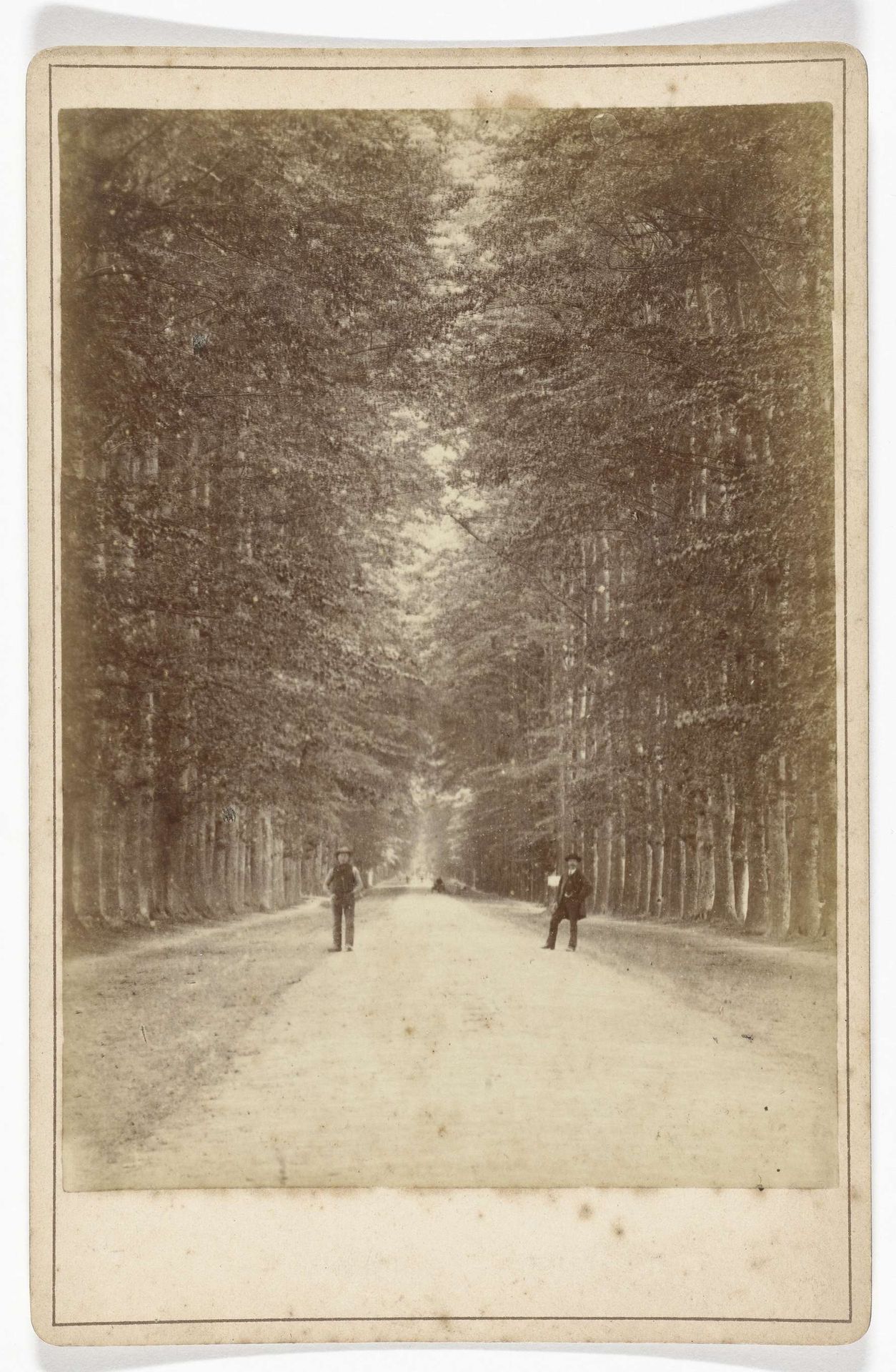 Boslaan (Middachter allée) bij De Steeg by J.S.J. de Jongh