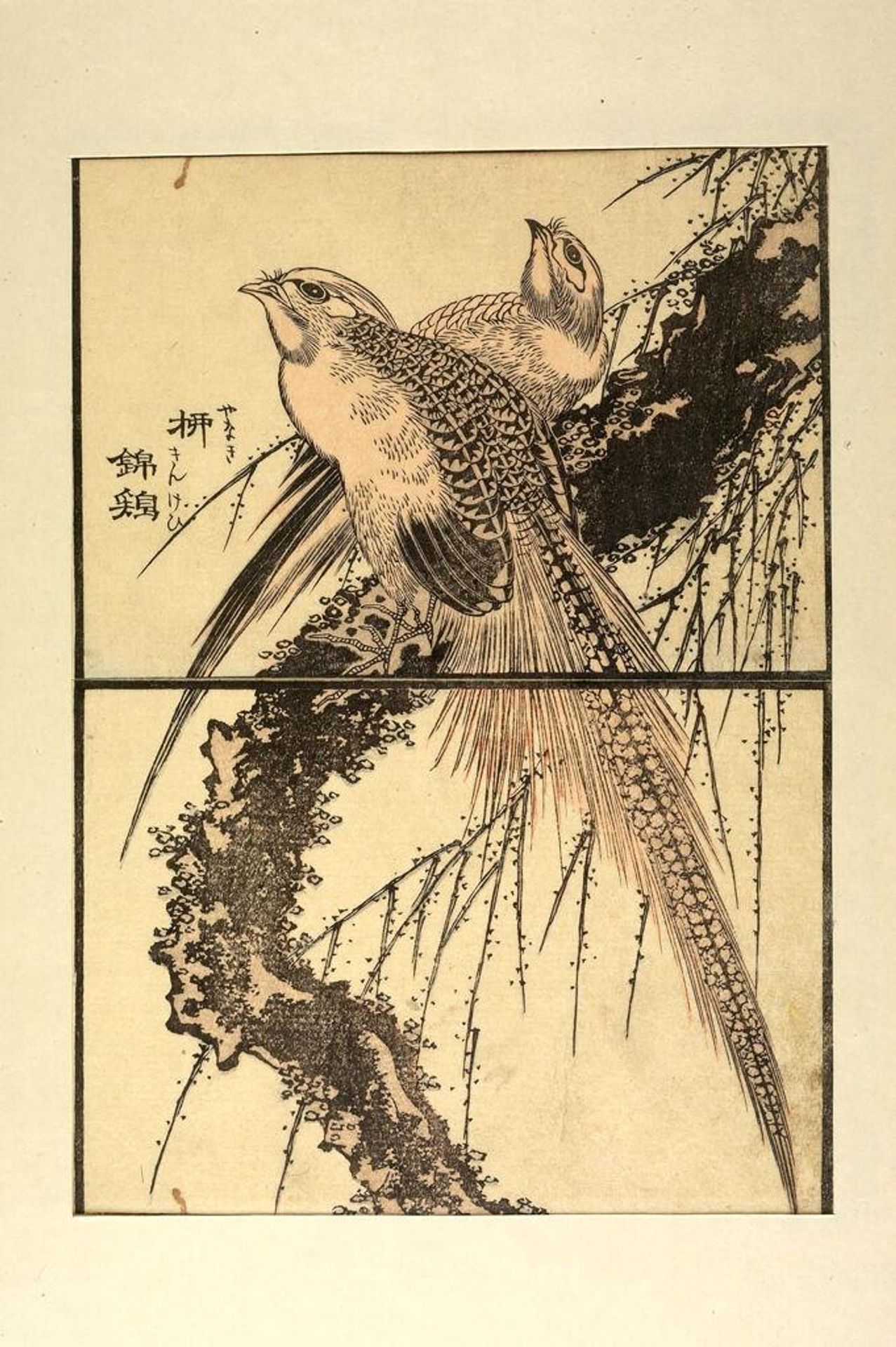 from the illustrated book "KachÅ gaden" by Katsushika Taito II äºä»£èé£¾æ´æ