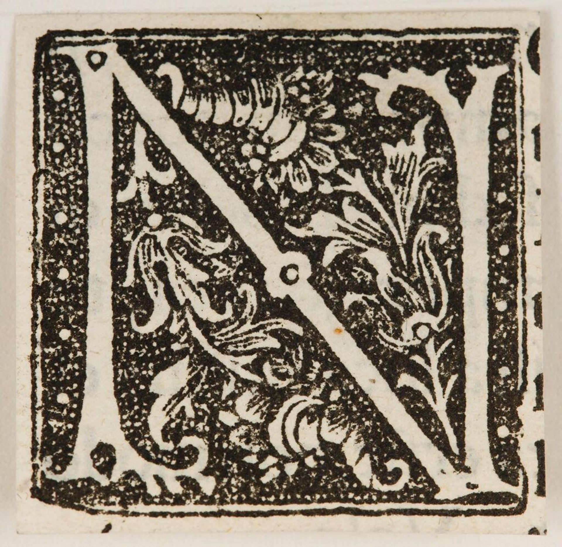 Letter N by Anonymous