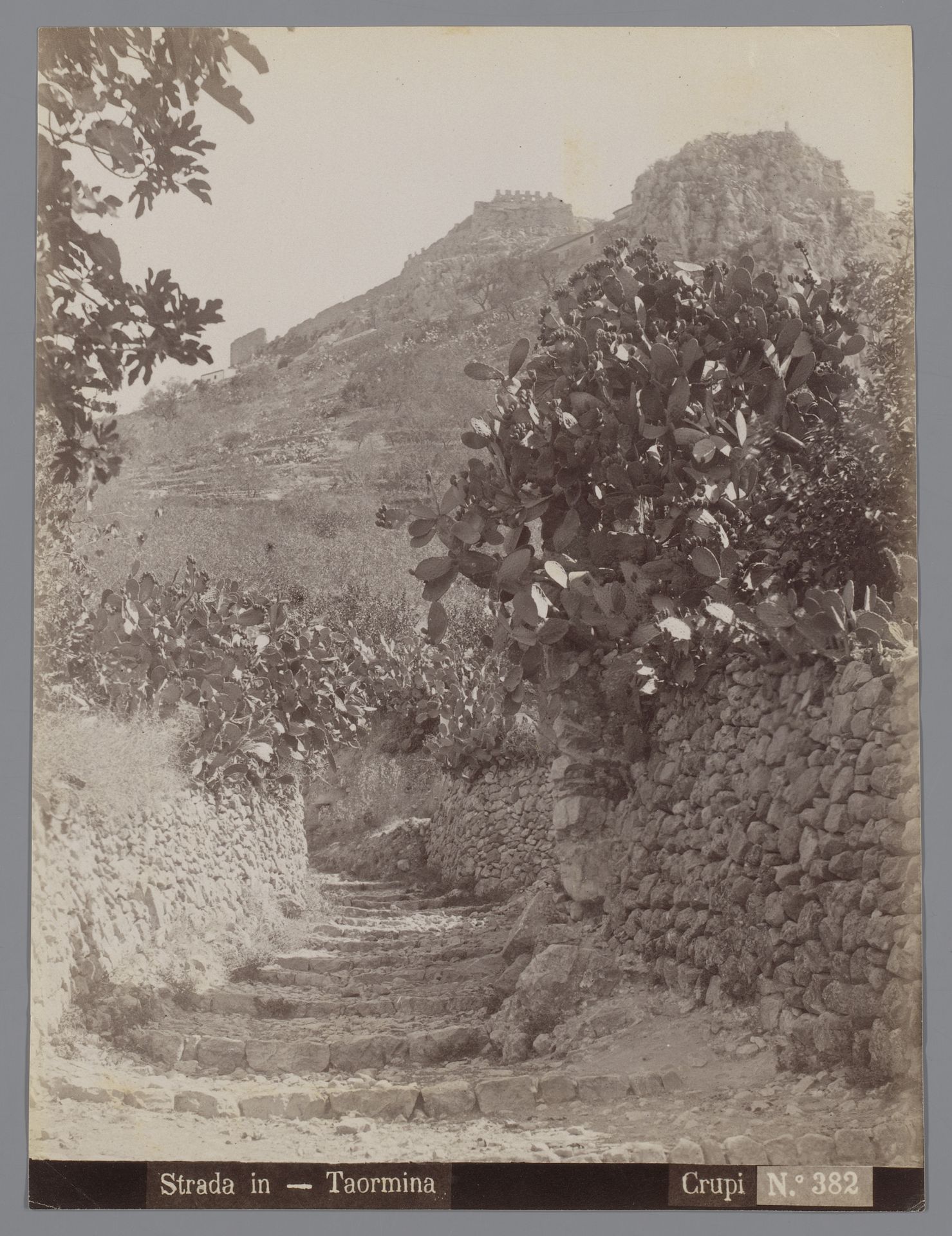 Pad in Taormina, aan weerszijden begroeid met cactussen, Italië by Giovanni Crupi