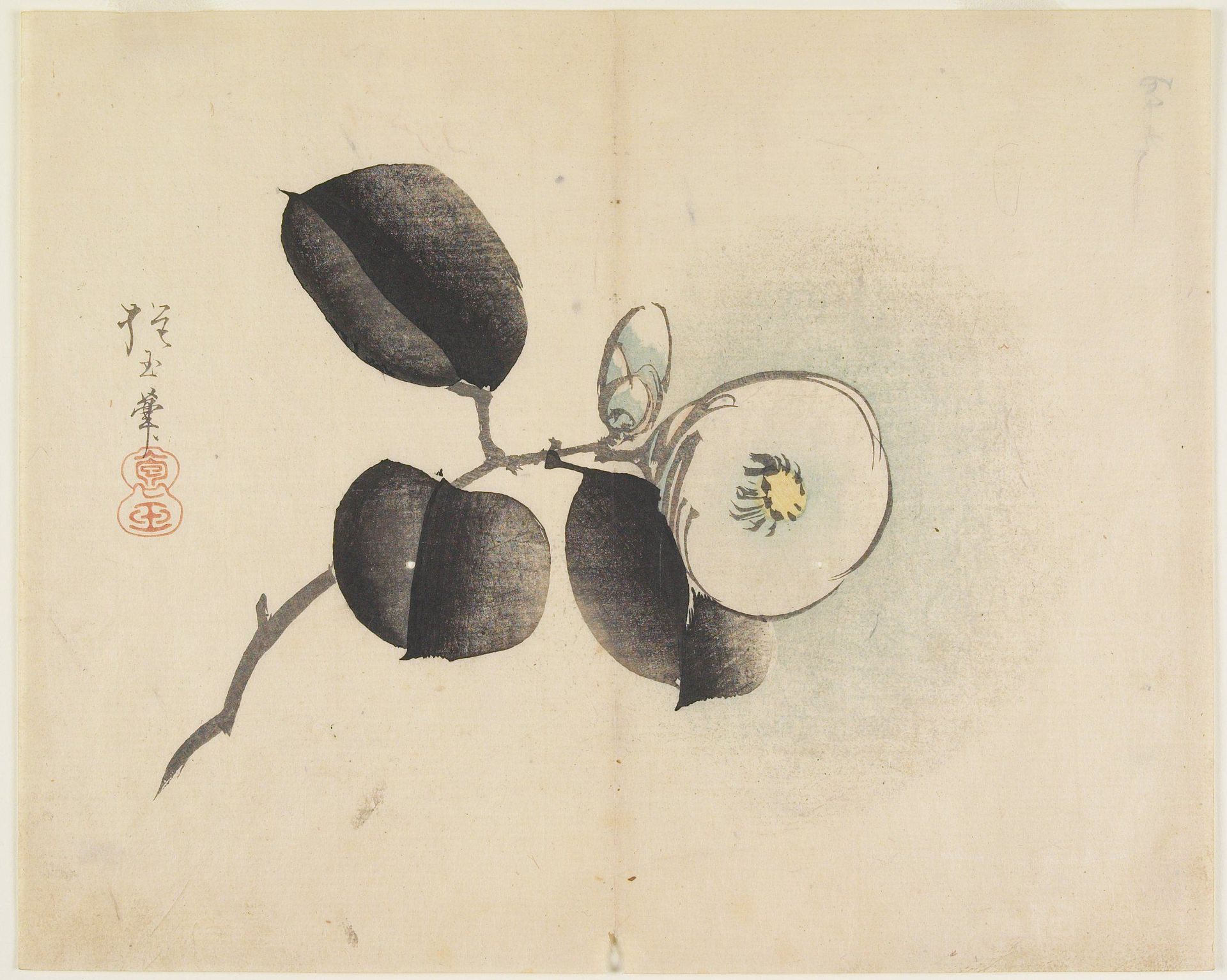 Camellia Flower and Bud by Yamada Hōgyoku