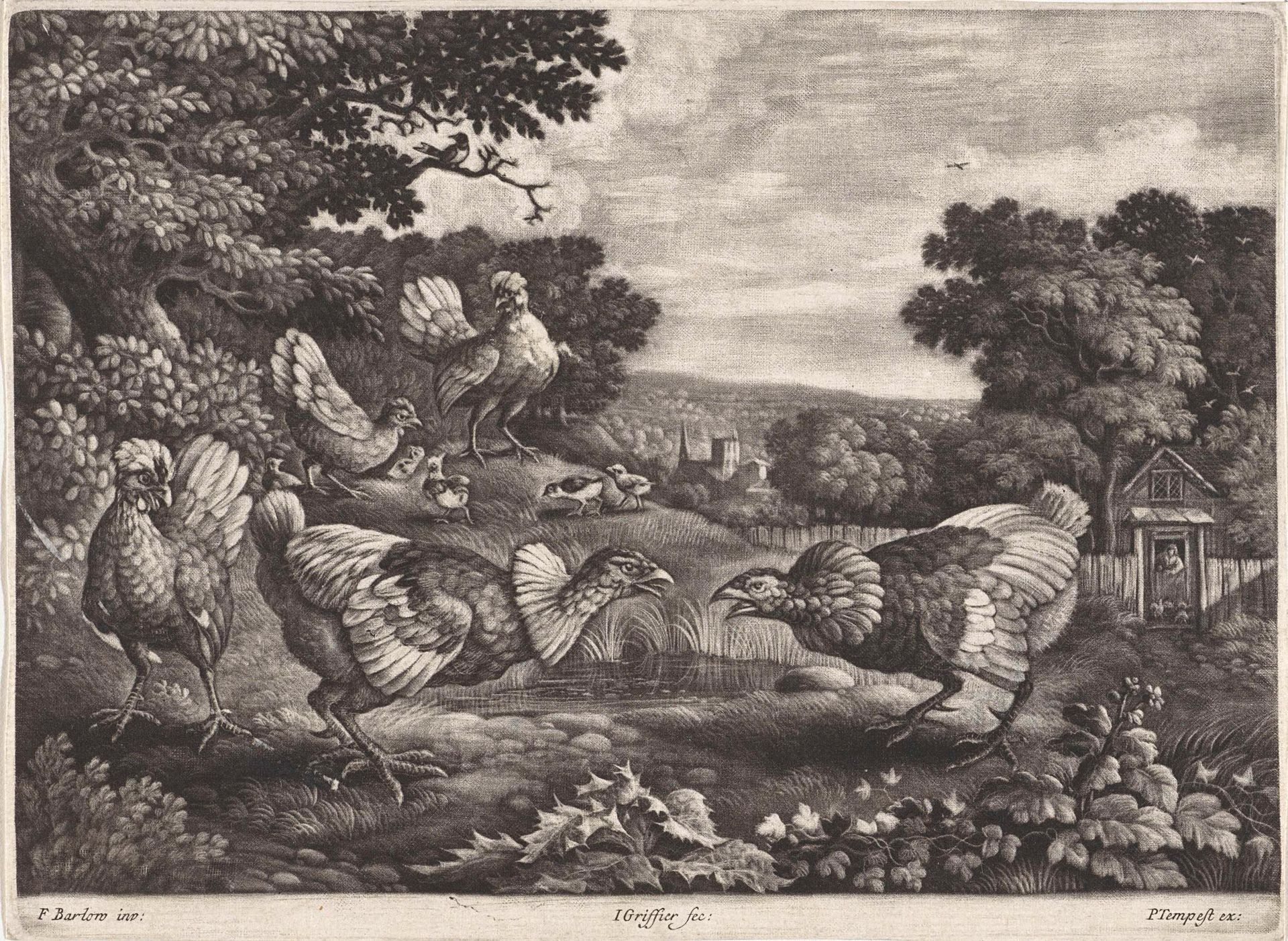 Vechtende kippen by Jan (I) Griffier