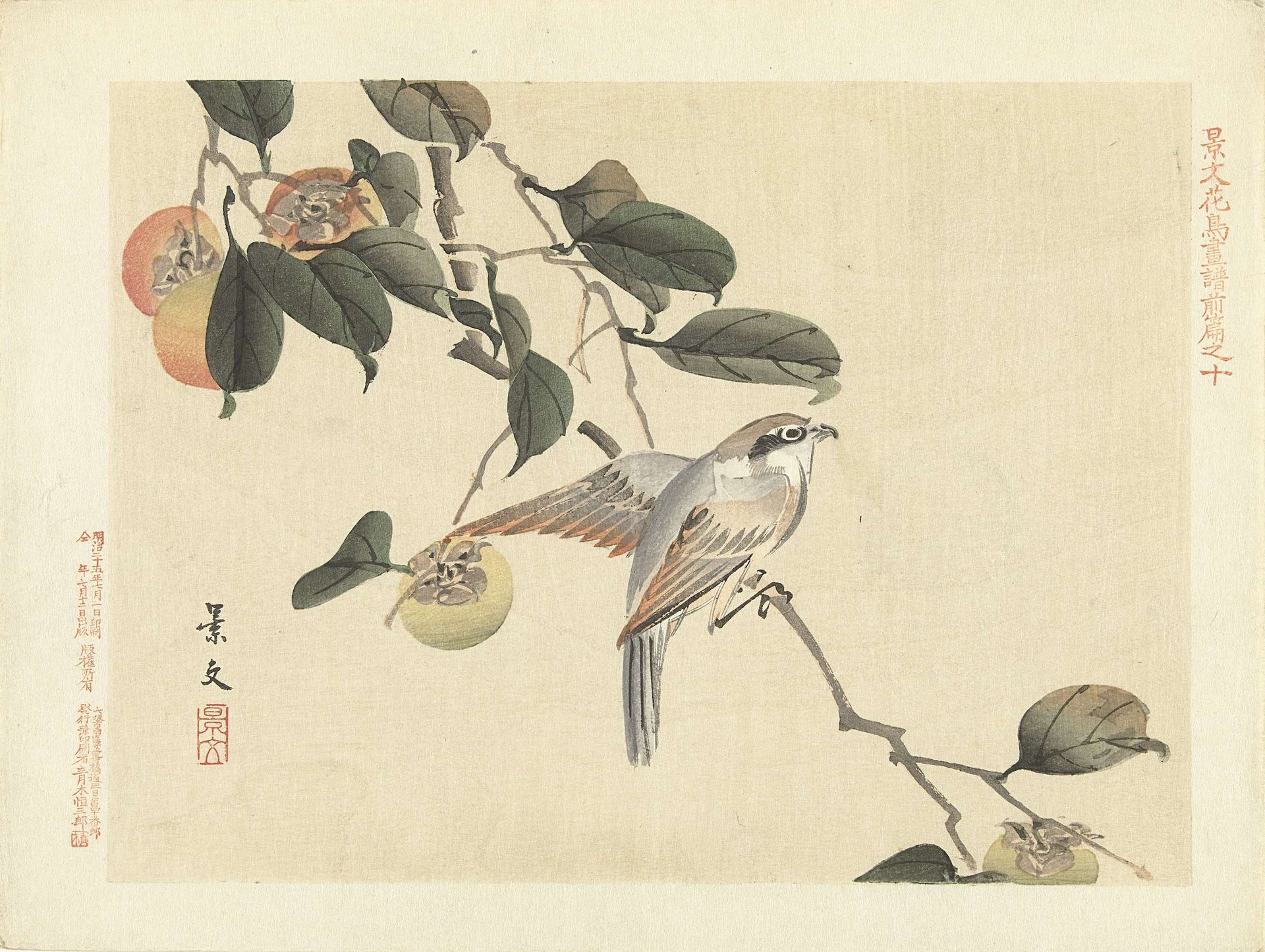 Vogel en kaki by Matsumura Keibun