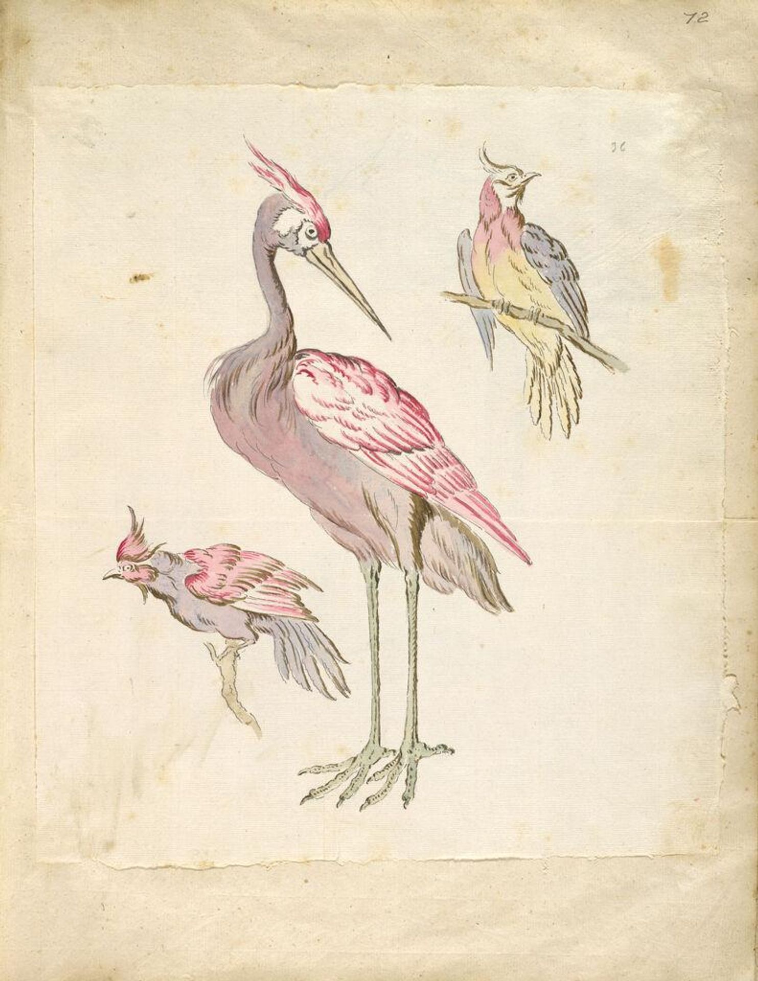Standing Heron and Two Perched Birds; verso: blank by Jean-Baptiste Oudry