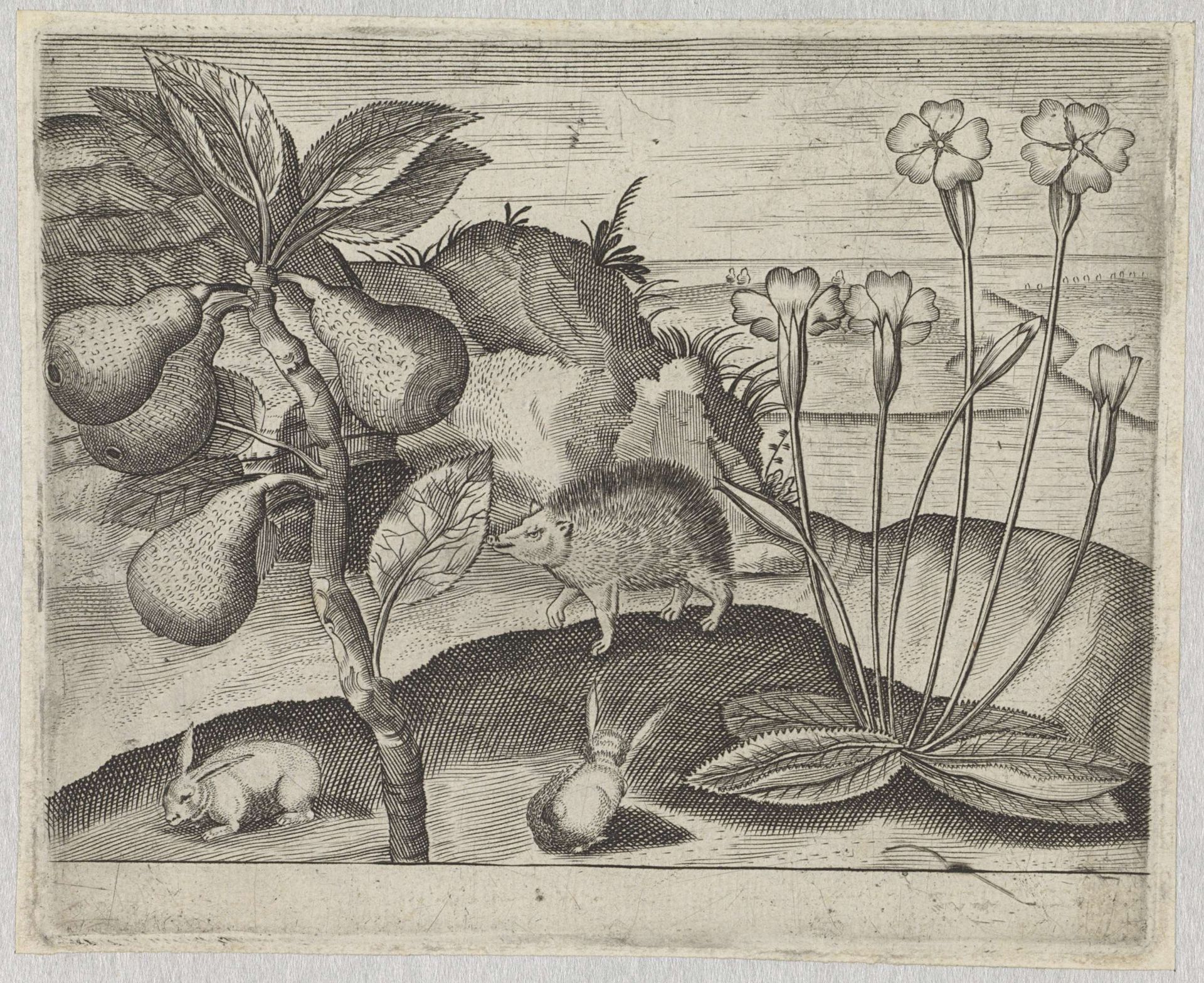 Series of Prints with Flowers and Animals in a Landscape by Johann Hogenberg