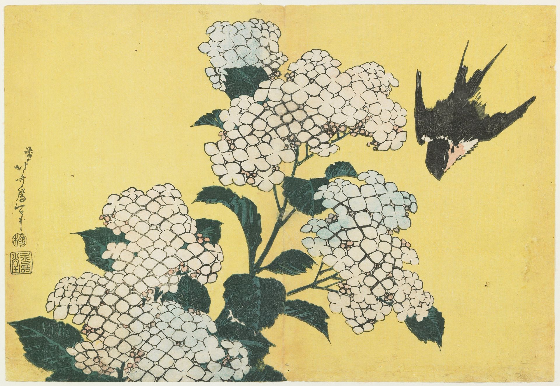 Hydrangeas and Swallow by Katsushika Hokusai