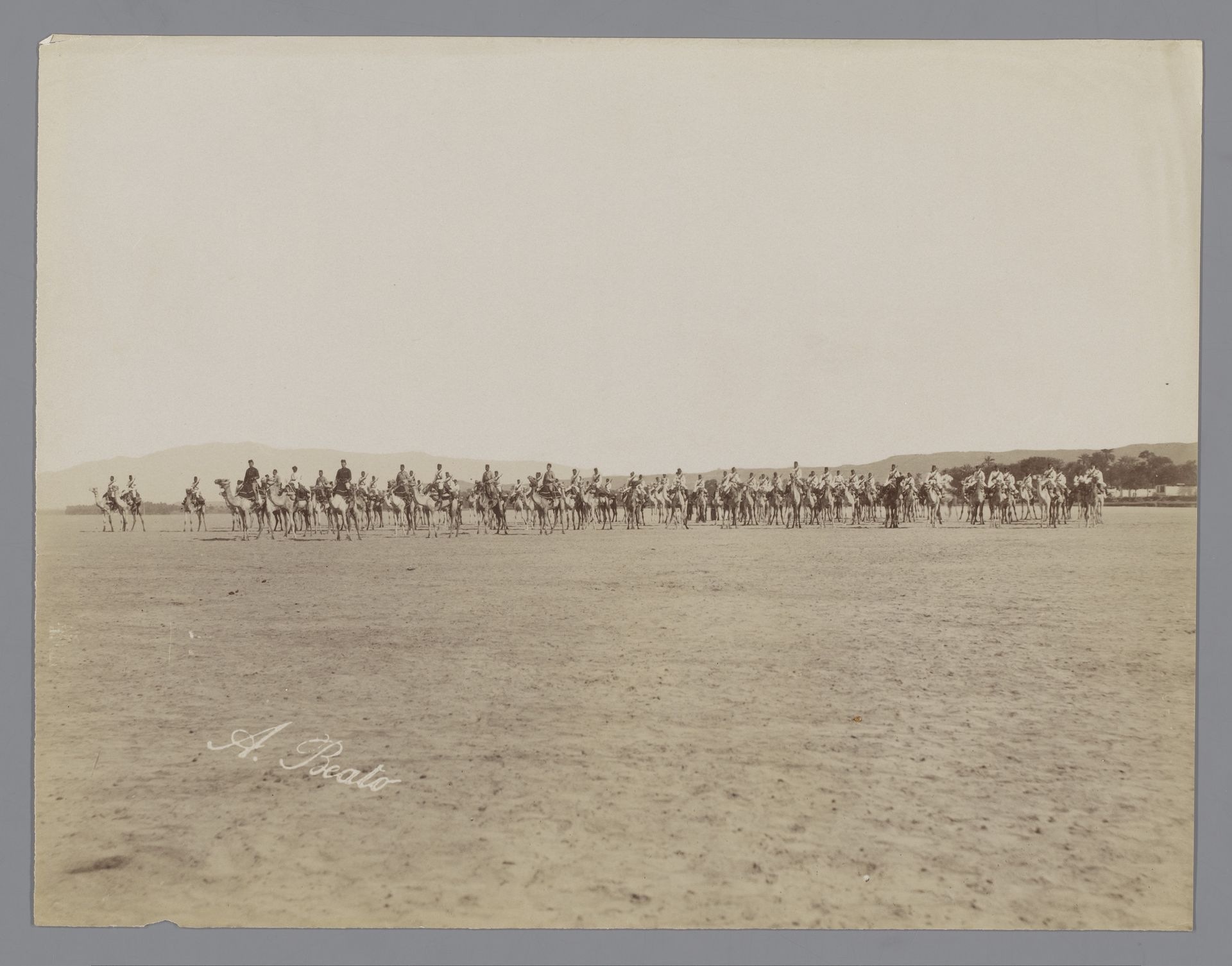 Soldaten van het Camel Corps tijdens de Mahdi-opstand in Soedan by Antonio Beato