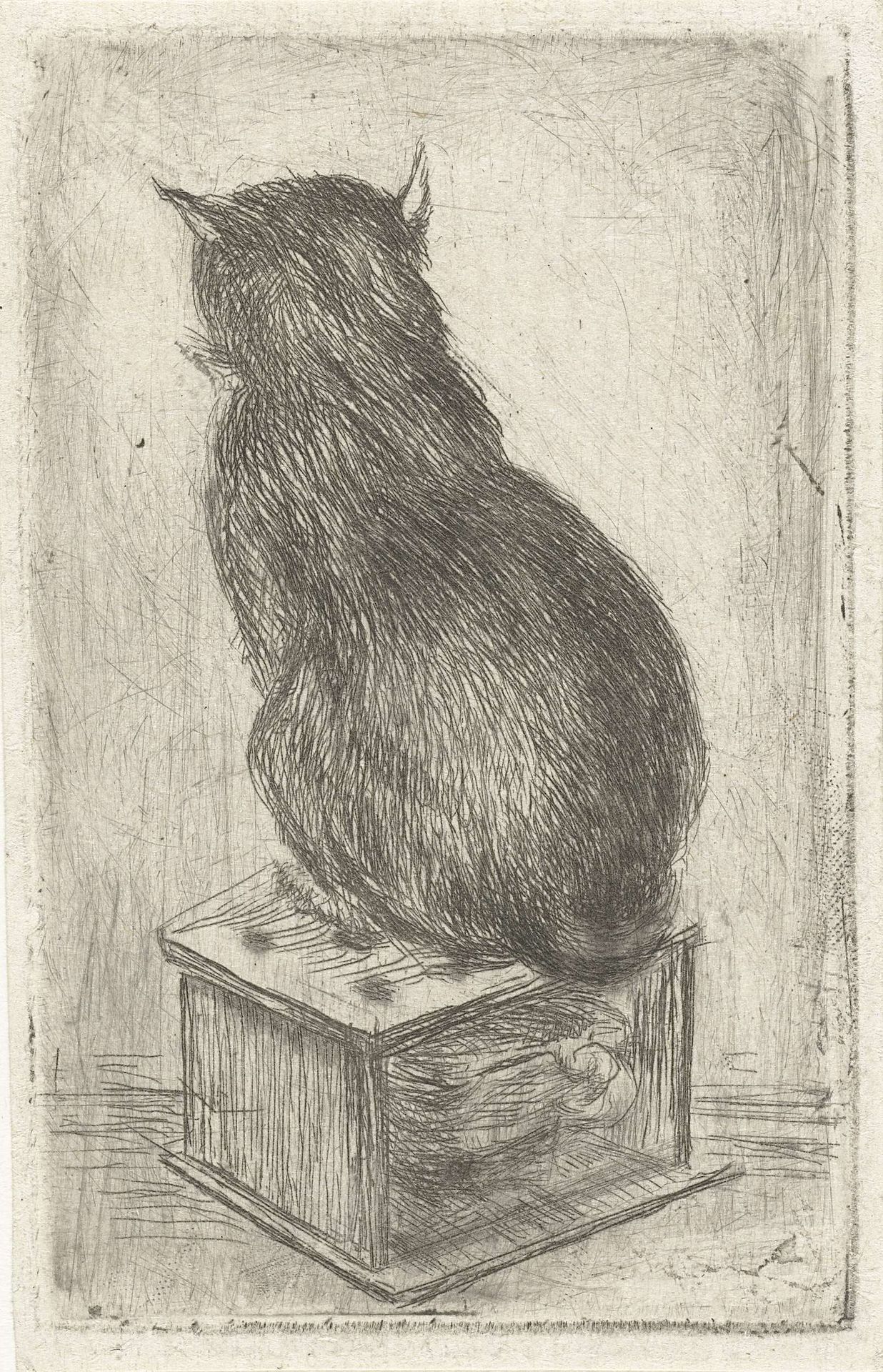 Kat zit op een stoof by Louis Bernard Coclers