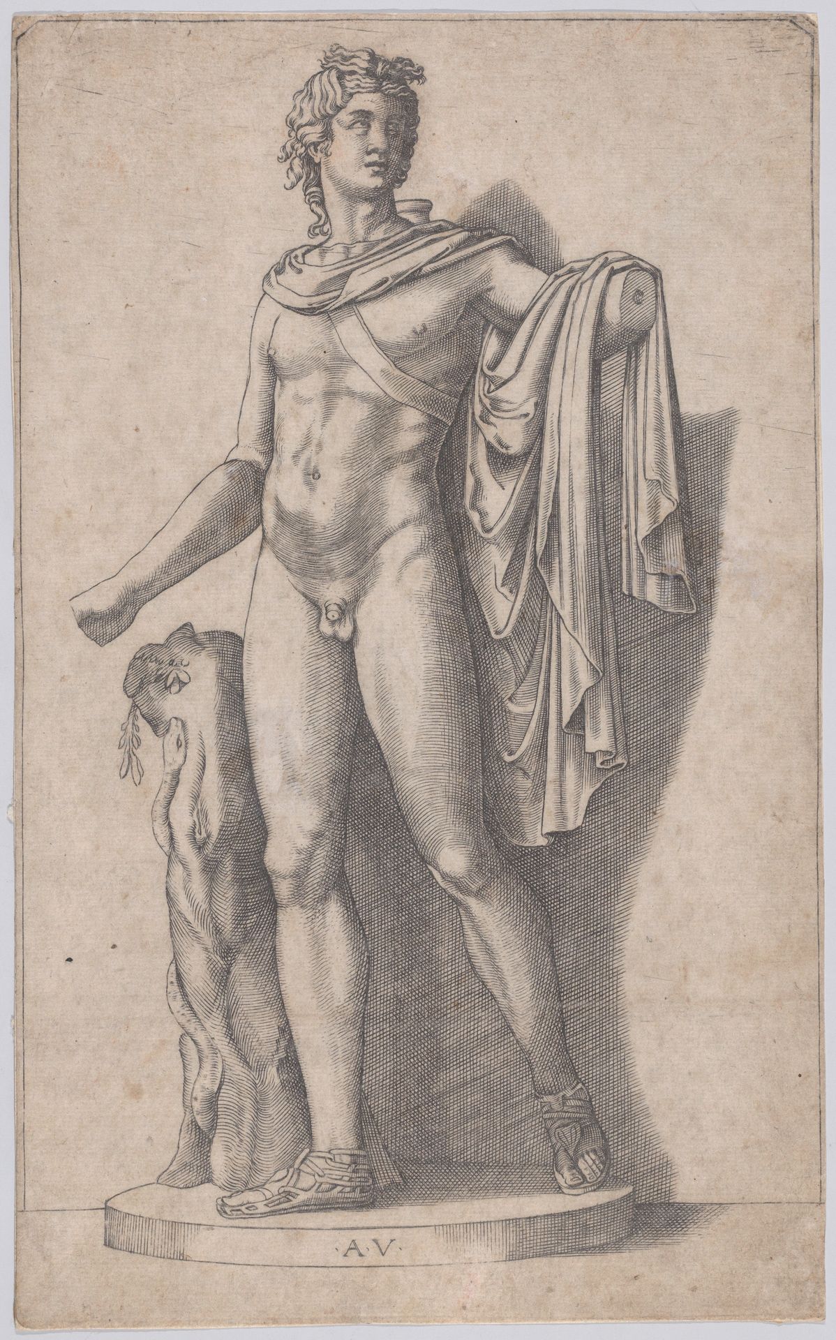 Apollo by Agostino Veneziano
