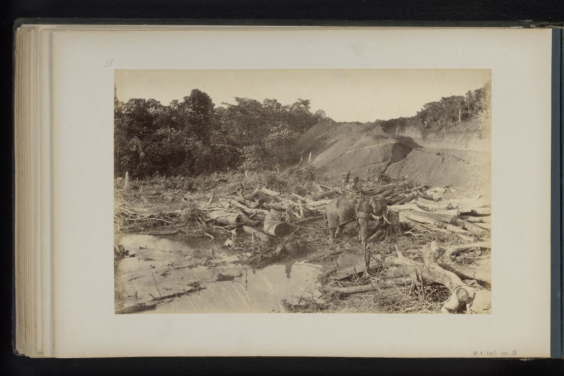 Arbeider op een olifant versleept boomstammen in een stuk gekapt oerwoud in Lau-Boentoe, Sumatra by Heinrich Ernst & Co