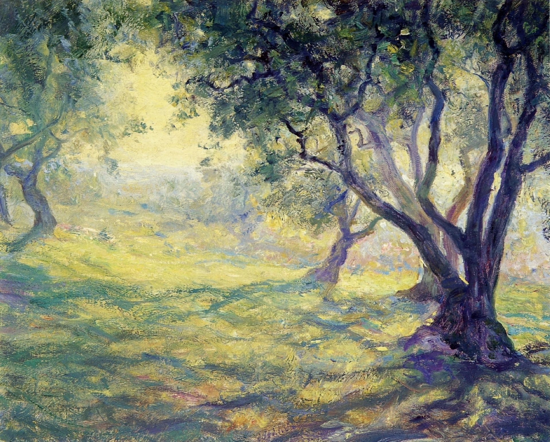 Provincial Olive Grove by Rose O'Neill