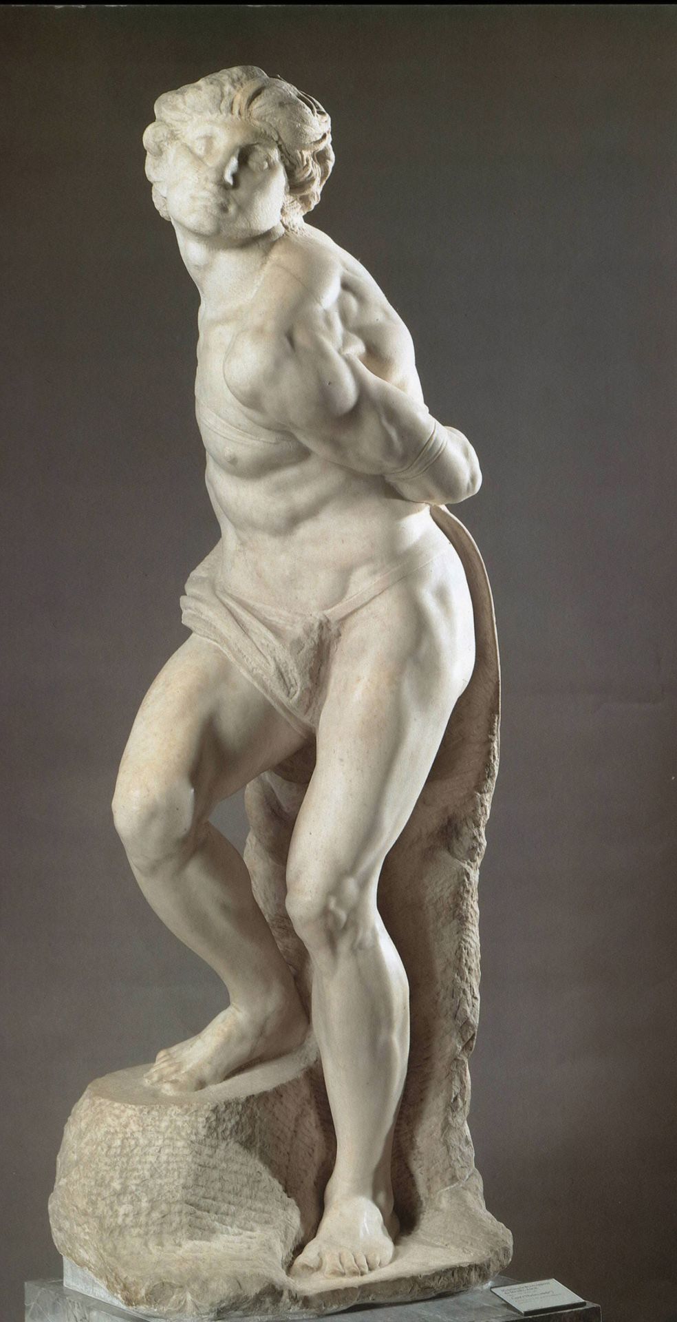 The Rebellious Slave by Michelangelo