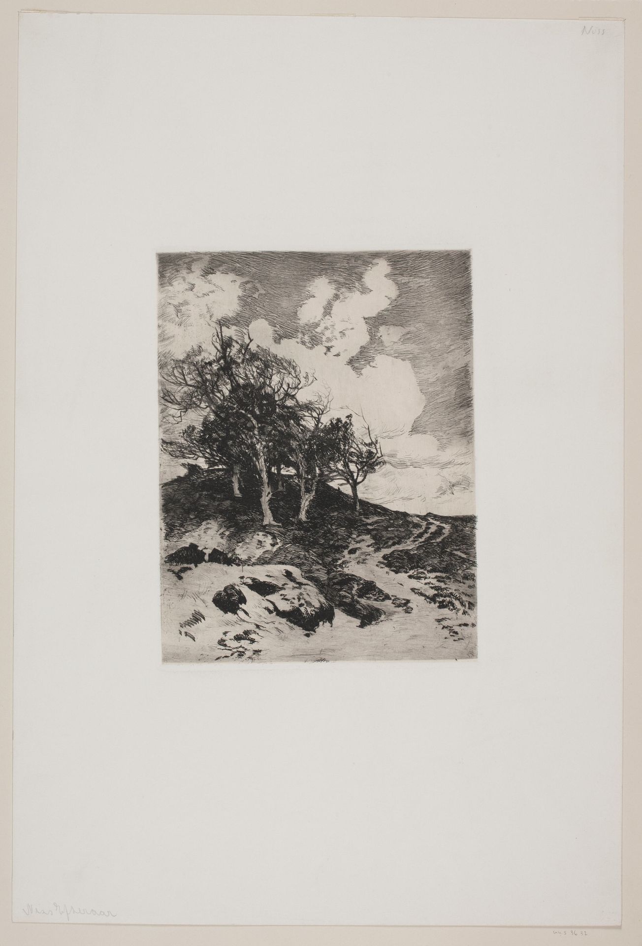 Efterår. Vindblæste træer by Thorvald Niss